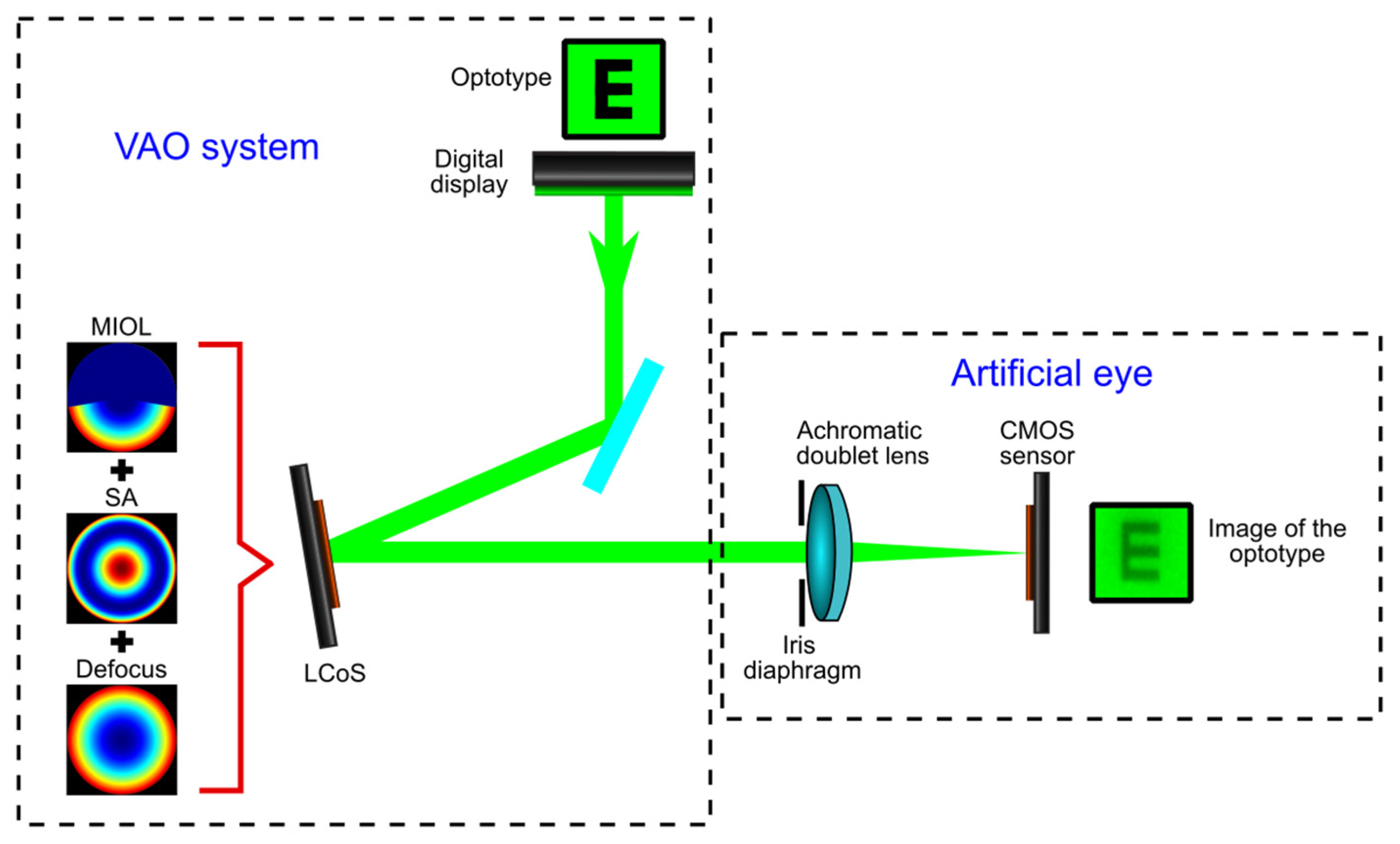 Jcm 12 04758 g002 Jcm 12 04758 g002