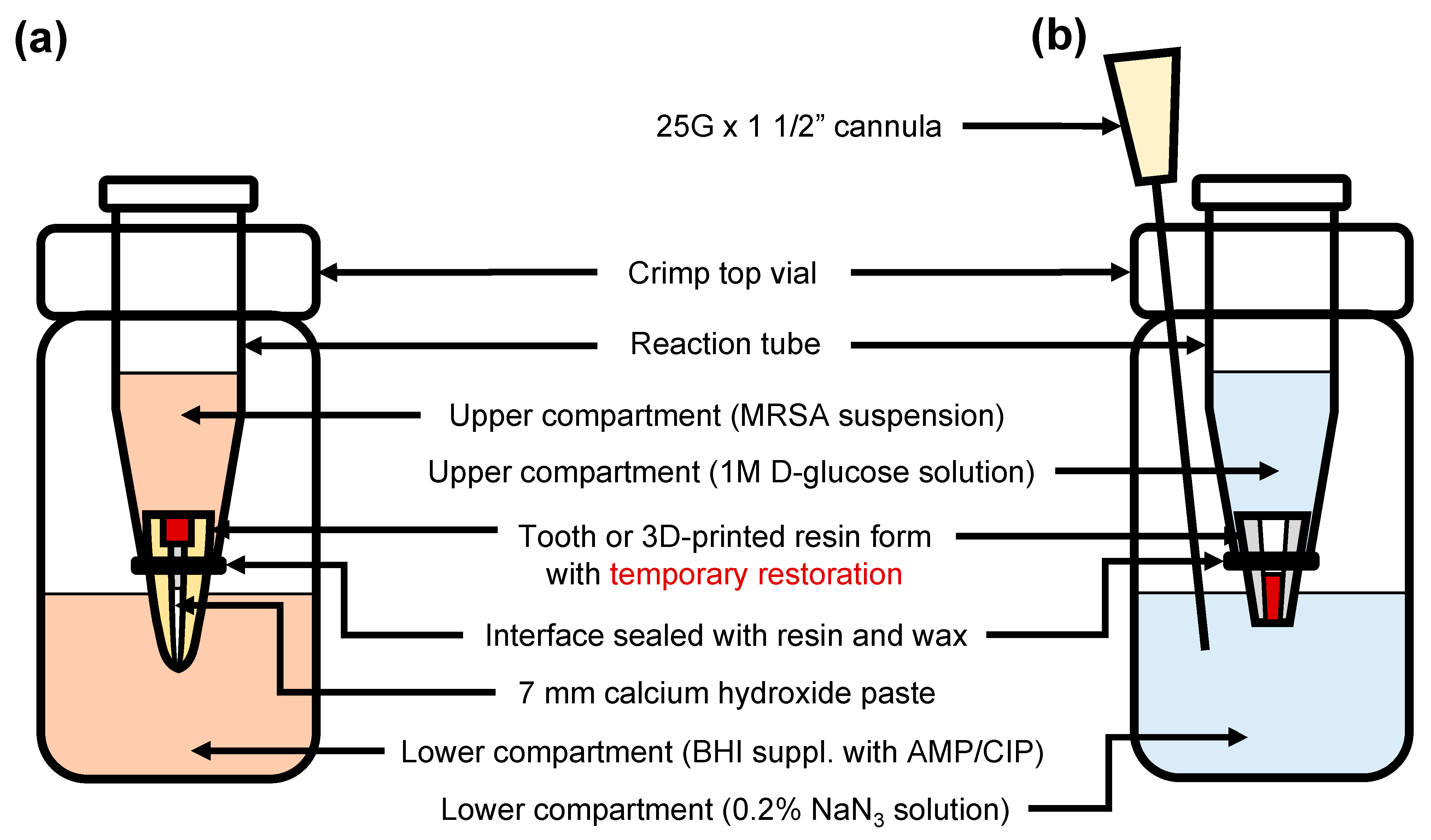 Jcm 12 04762 g001 Jcm 12 04762 g001