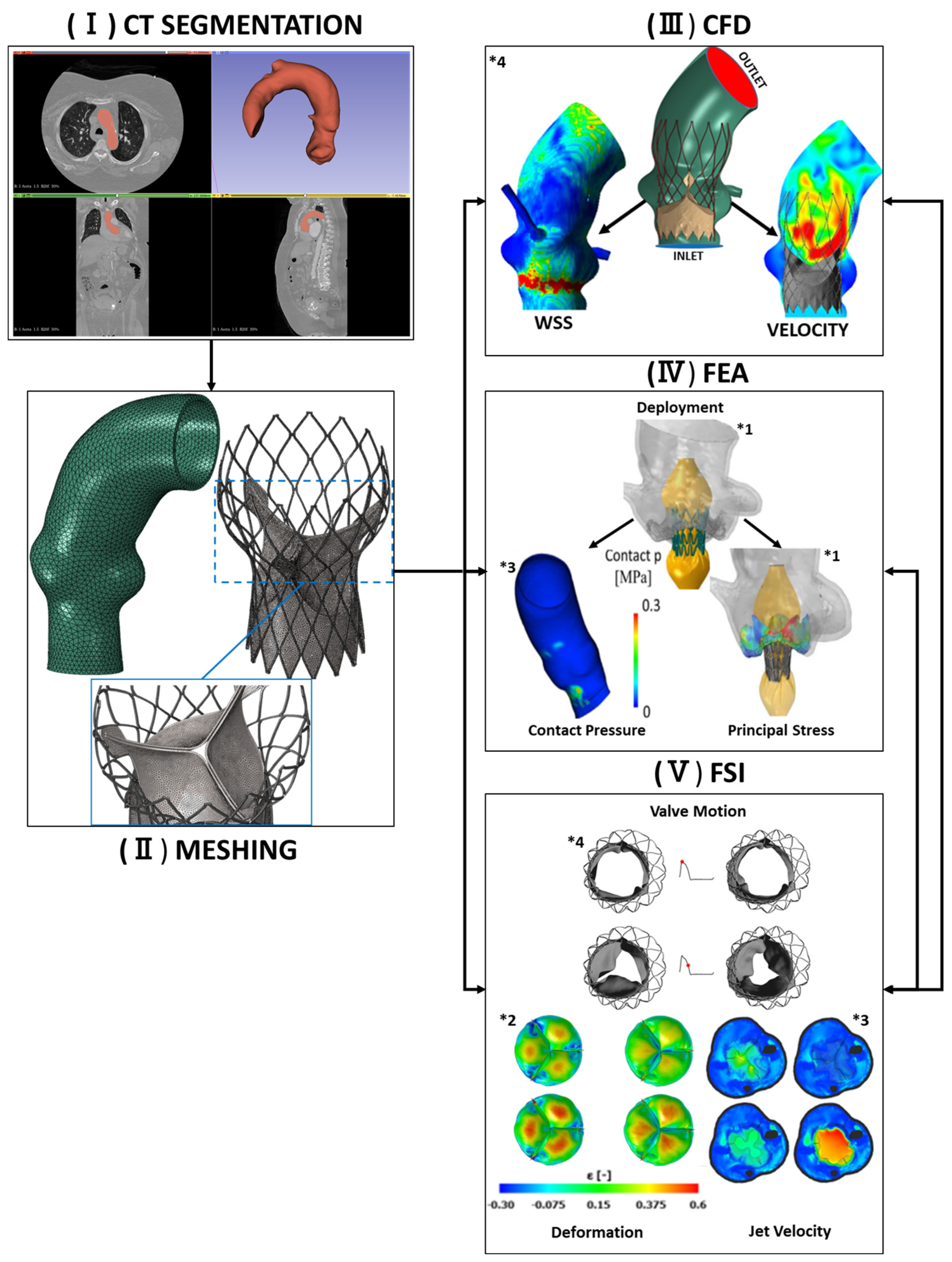 Latest Developments in Adapting Deep Learning for Assessing TAVR 