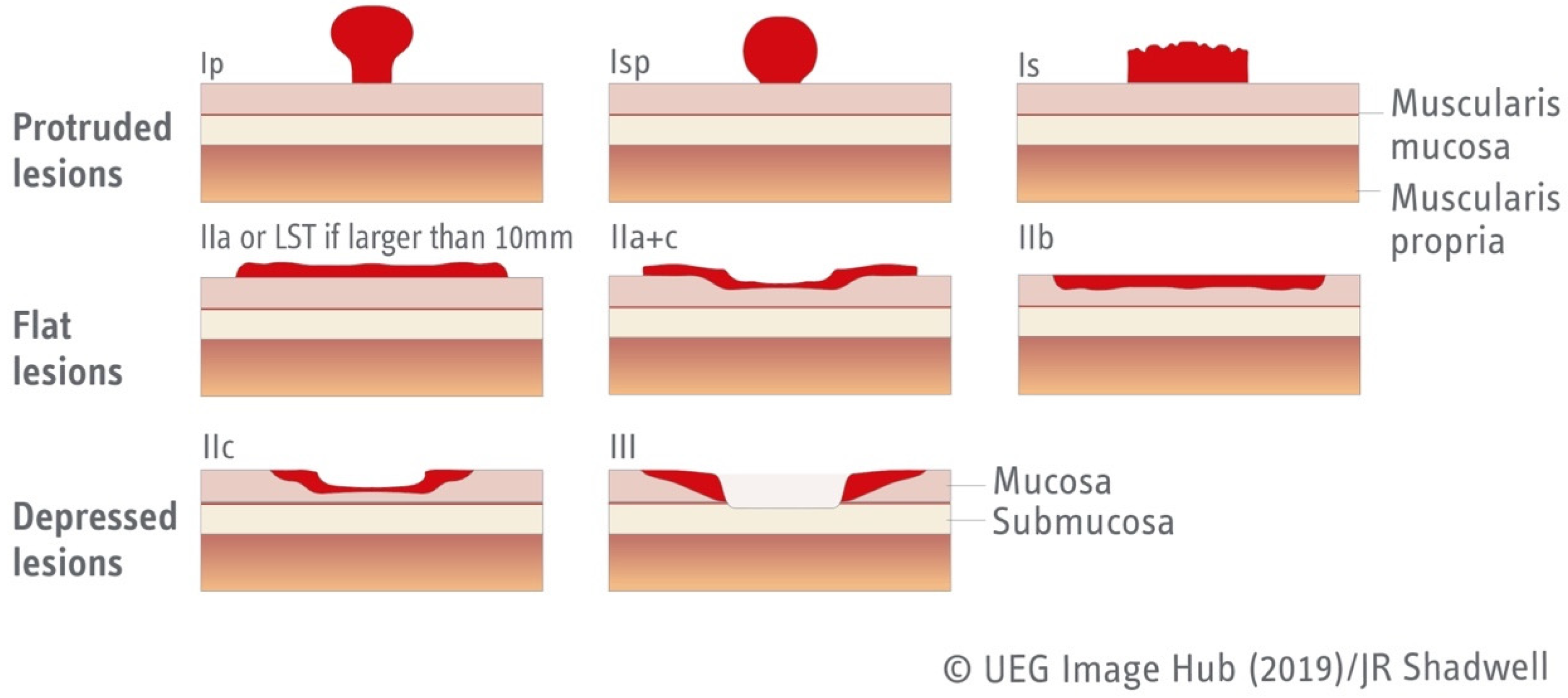 Jcm 12 04777 g001 Jcm 12 04777 g001