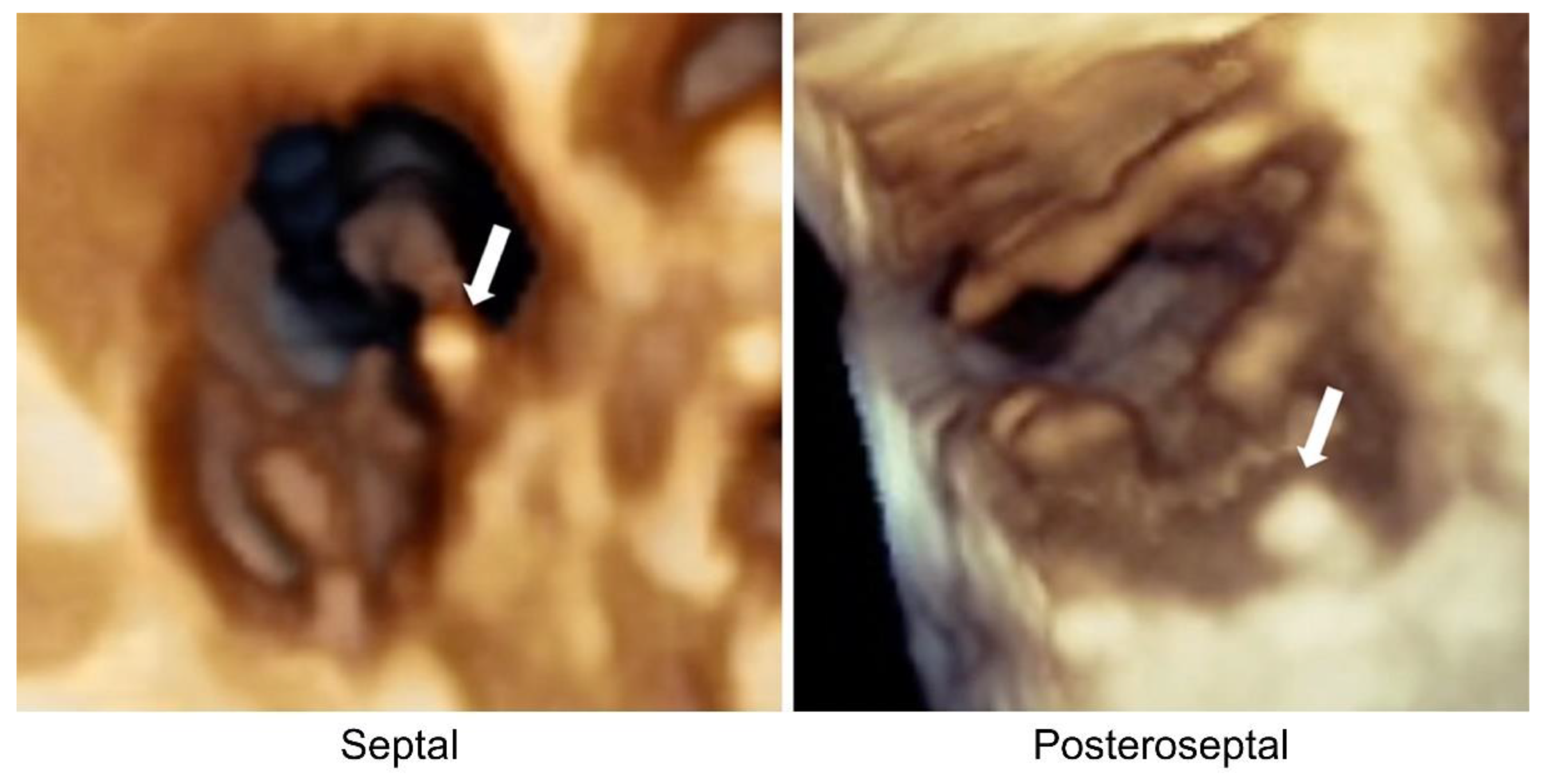 Jcm 12 04782 g003 Jcm 12 04782 g003