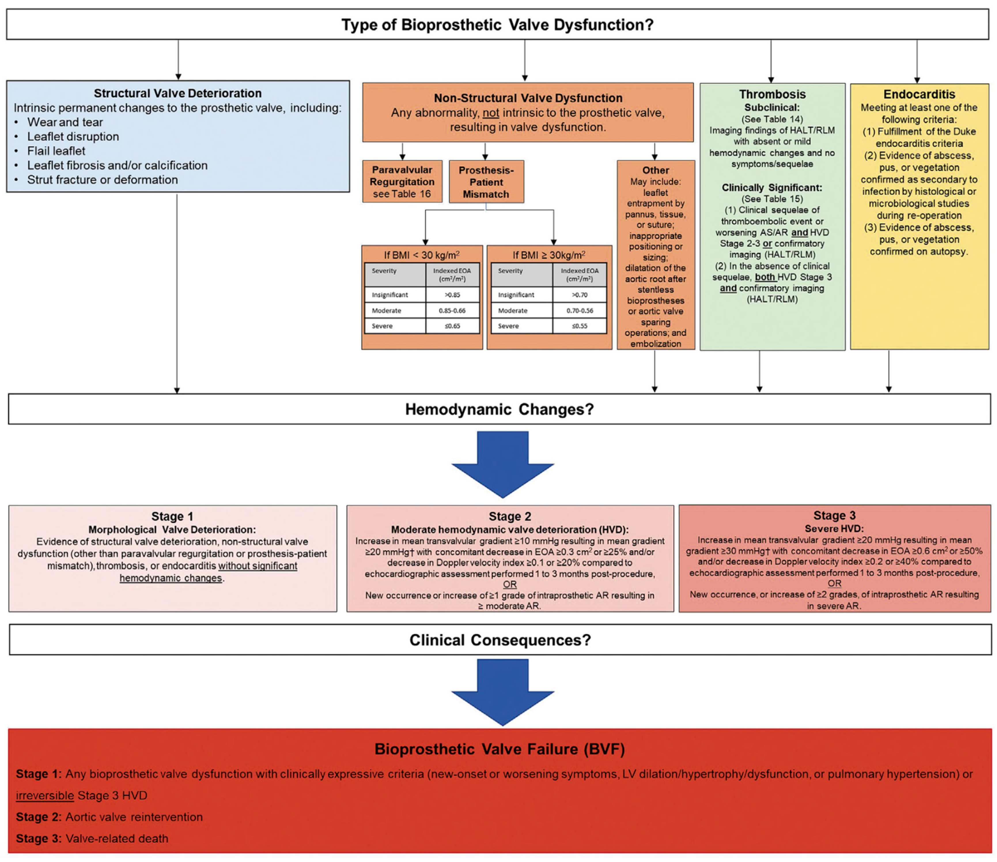 Jcm 12 04788 g001 Jcm 12 04788 g001