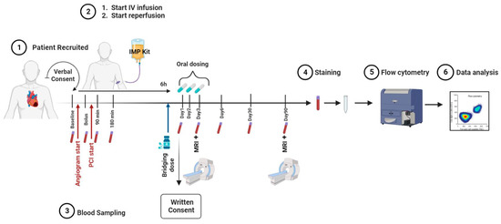 Fractalkine Signalling (CX3CL1/CX3CR1 Axis) as an Emerging