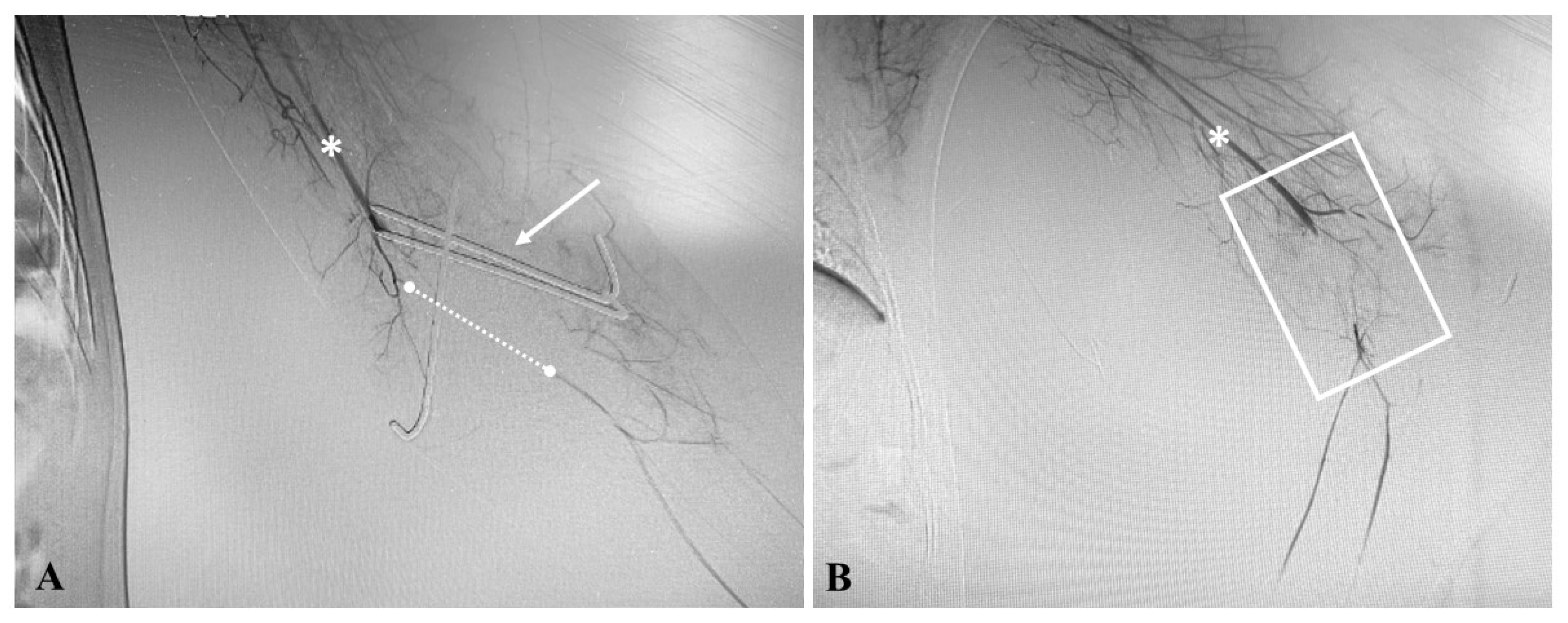 Jcm 12 04906 g001 Jcm 12 04906 g001
