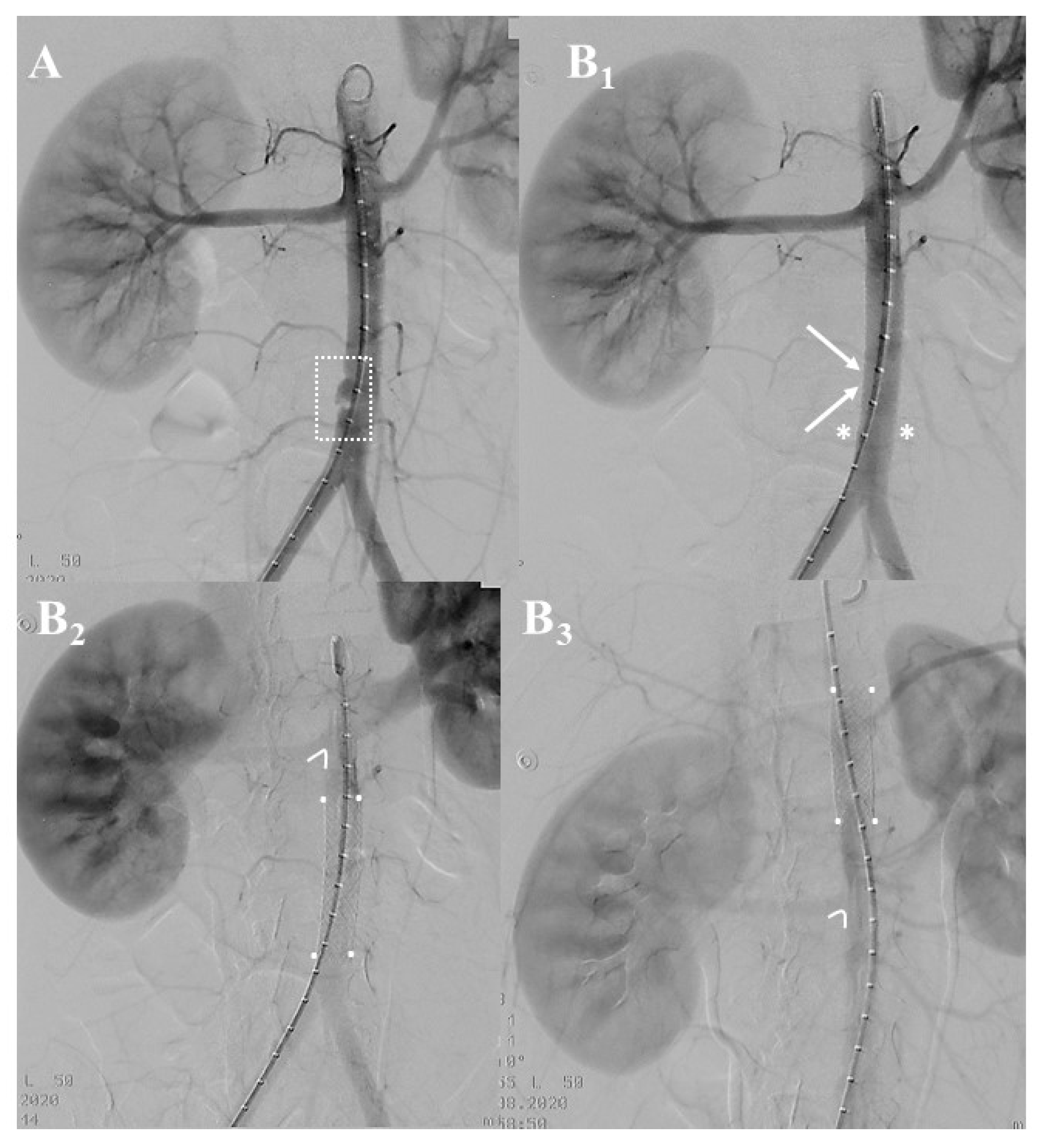 Jcm 12 04906 g004 Jcm 12 04906 g004
