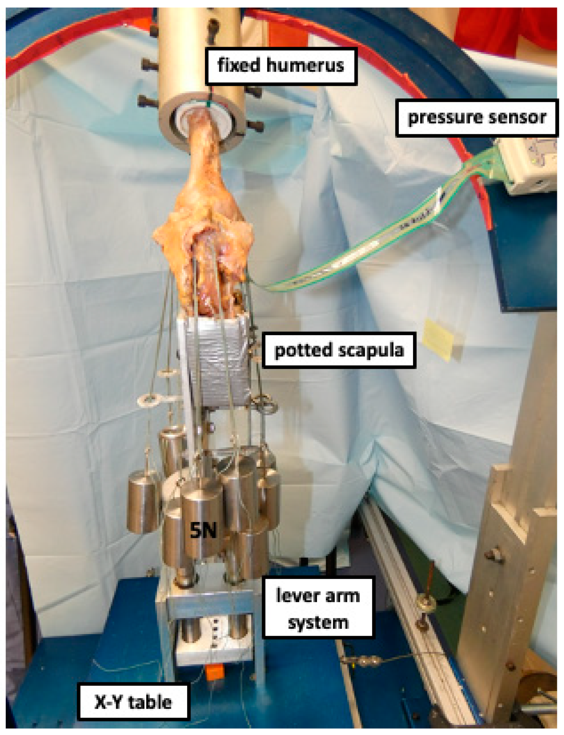 Jcm 12 04918 g001 Jcm 12 04918 g001