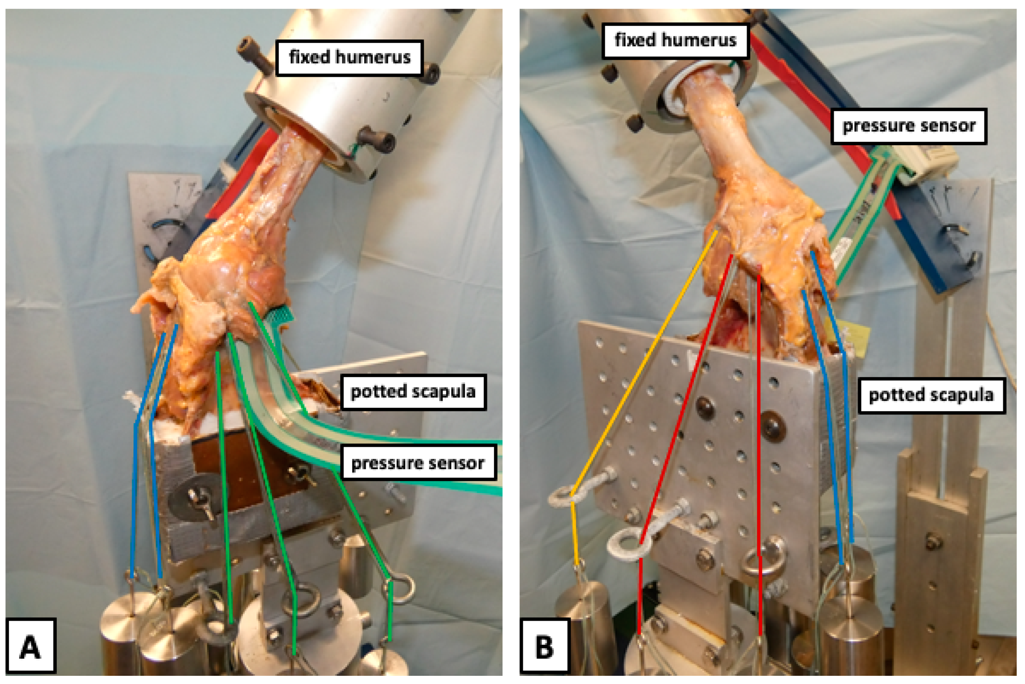 Jcm 12 04918 g002 Jcm 12 04918 g002