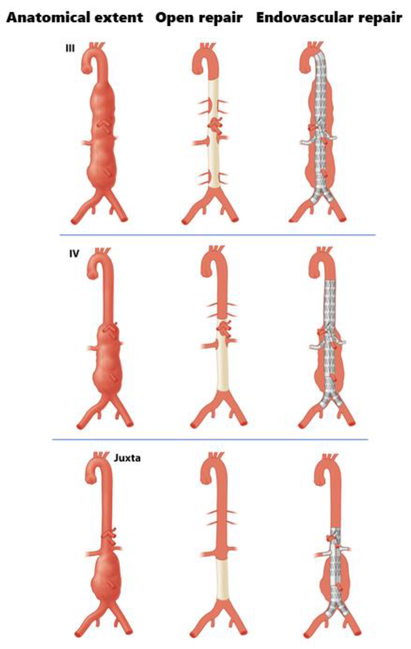 Jcm 12 04921 g002 Jcm 12 04921 g002