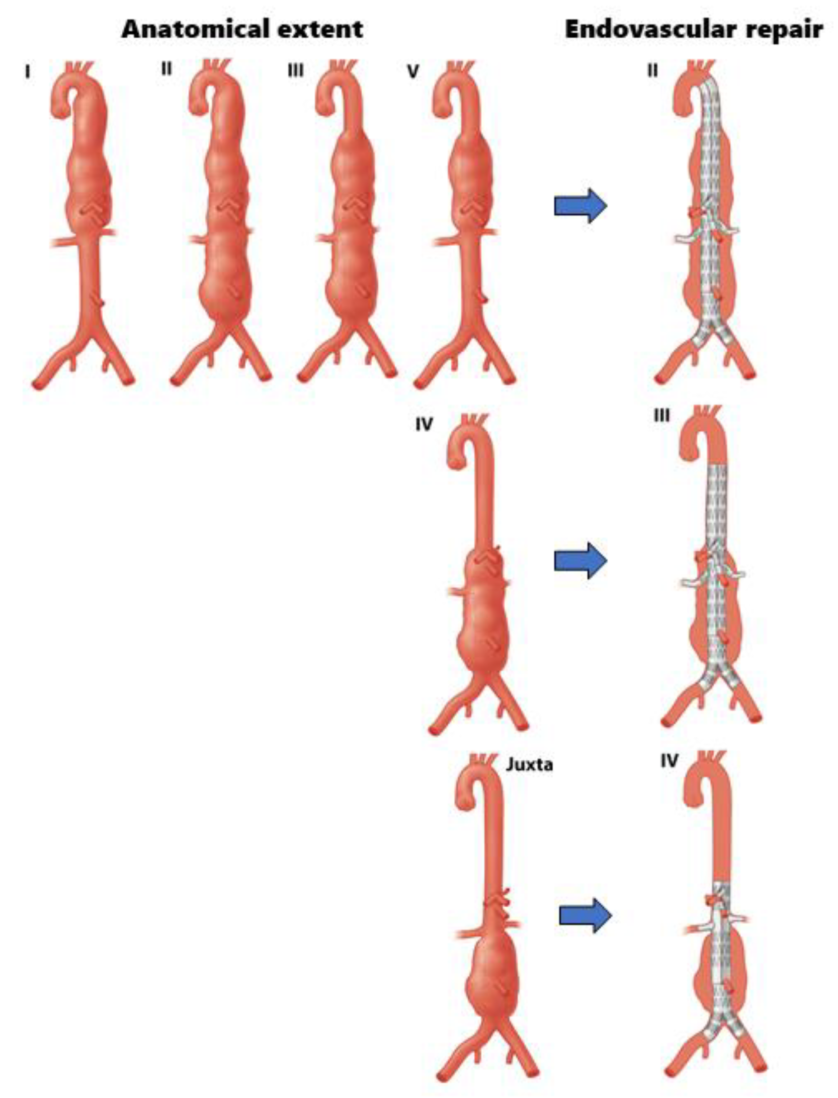 Jcm 12 04921 g003 Jcm 12 04921 g003