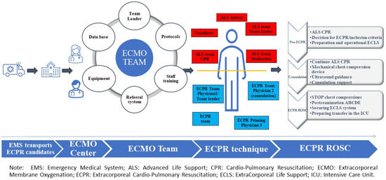 The Beginning of an ECLS Center: First Successful ECPR in an Emergency ...