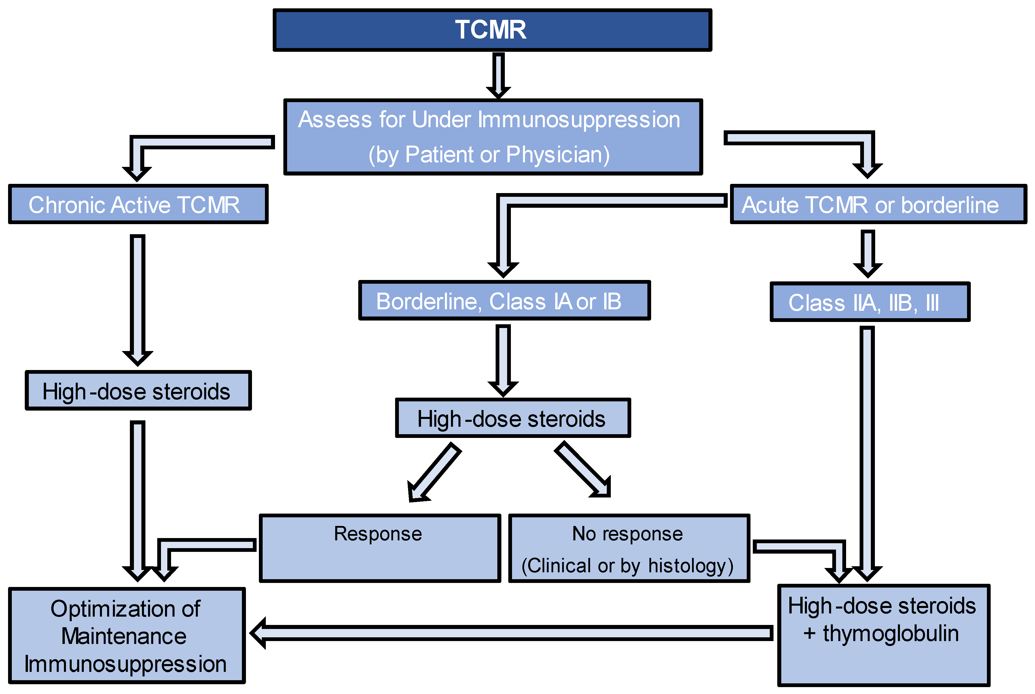 JCM Free Full Text Current Therapies In Kidney Transplant Rejection jcm-free-full-text-current-therapies-in-kidney-transplant-rejection