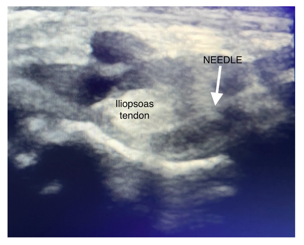 Jcm 12 04931 g001 Jcm 12 04931 g001