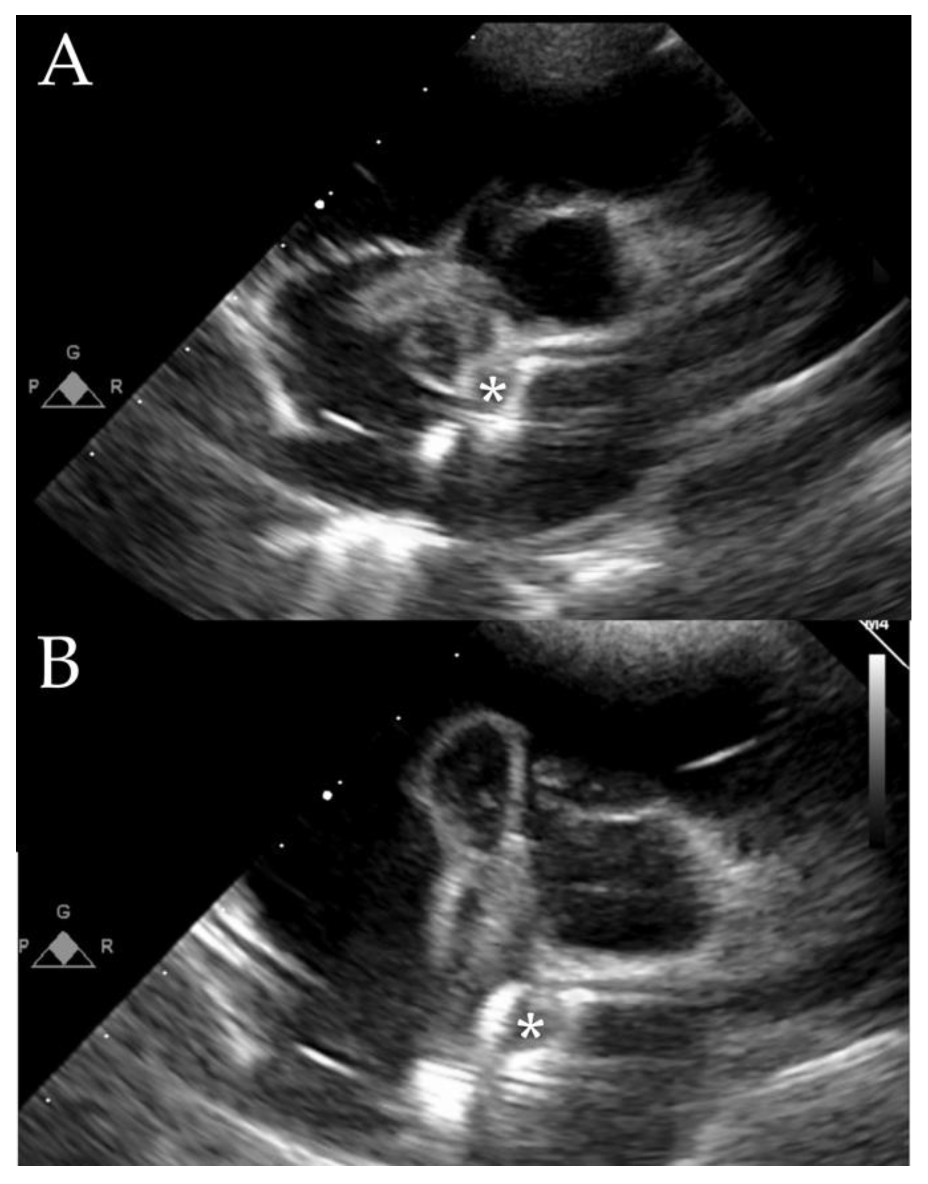 Jcm 12 04941 g008 Jcm 12 04941 g008