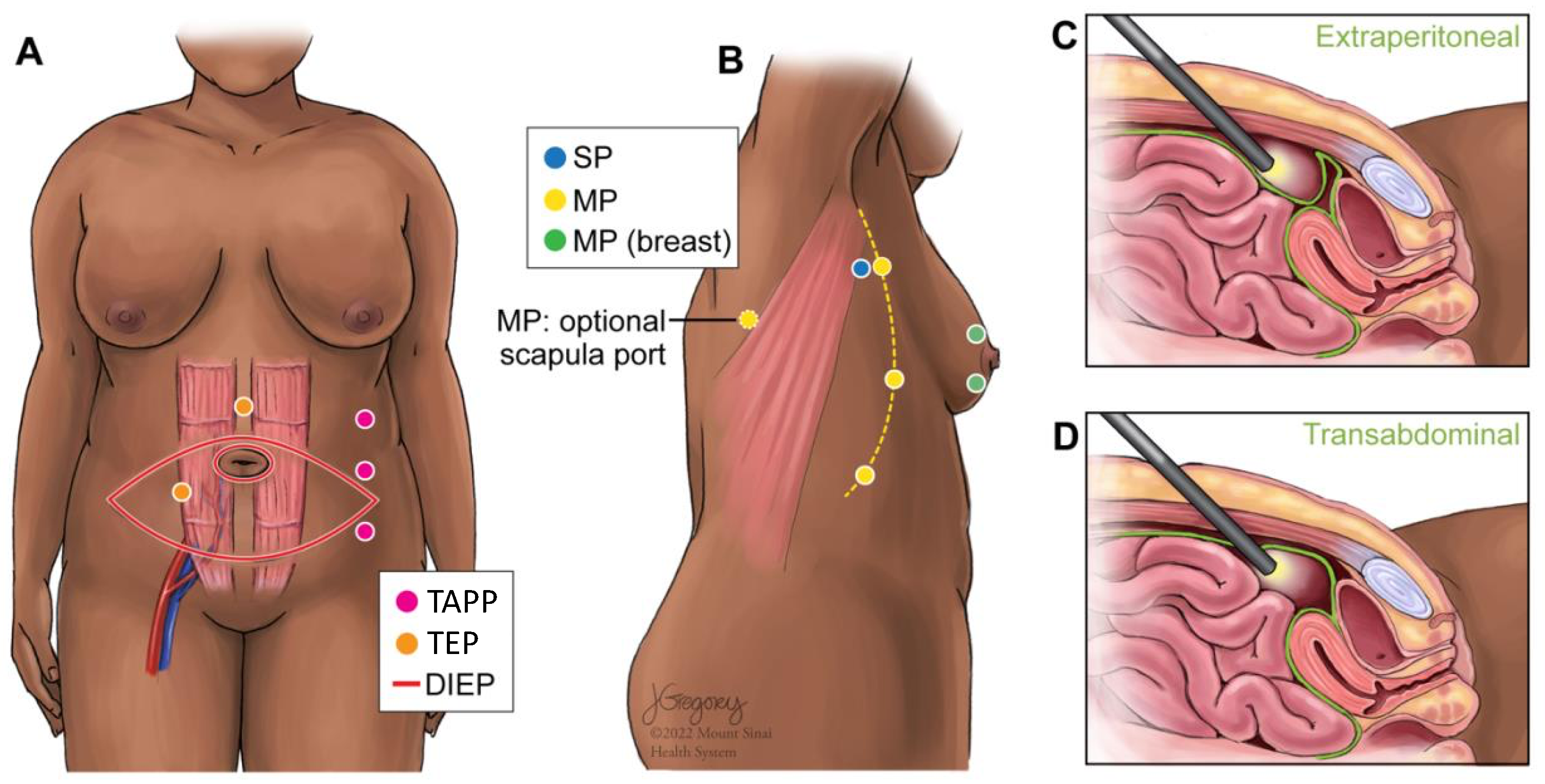 Jcm 12 04951 g003 Jcm 12 04951 g003