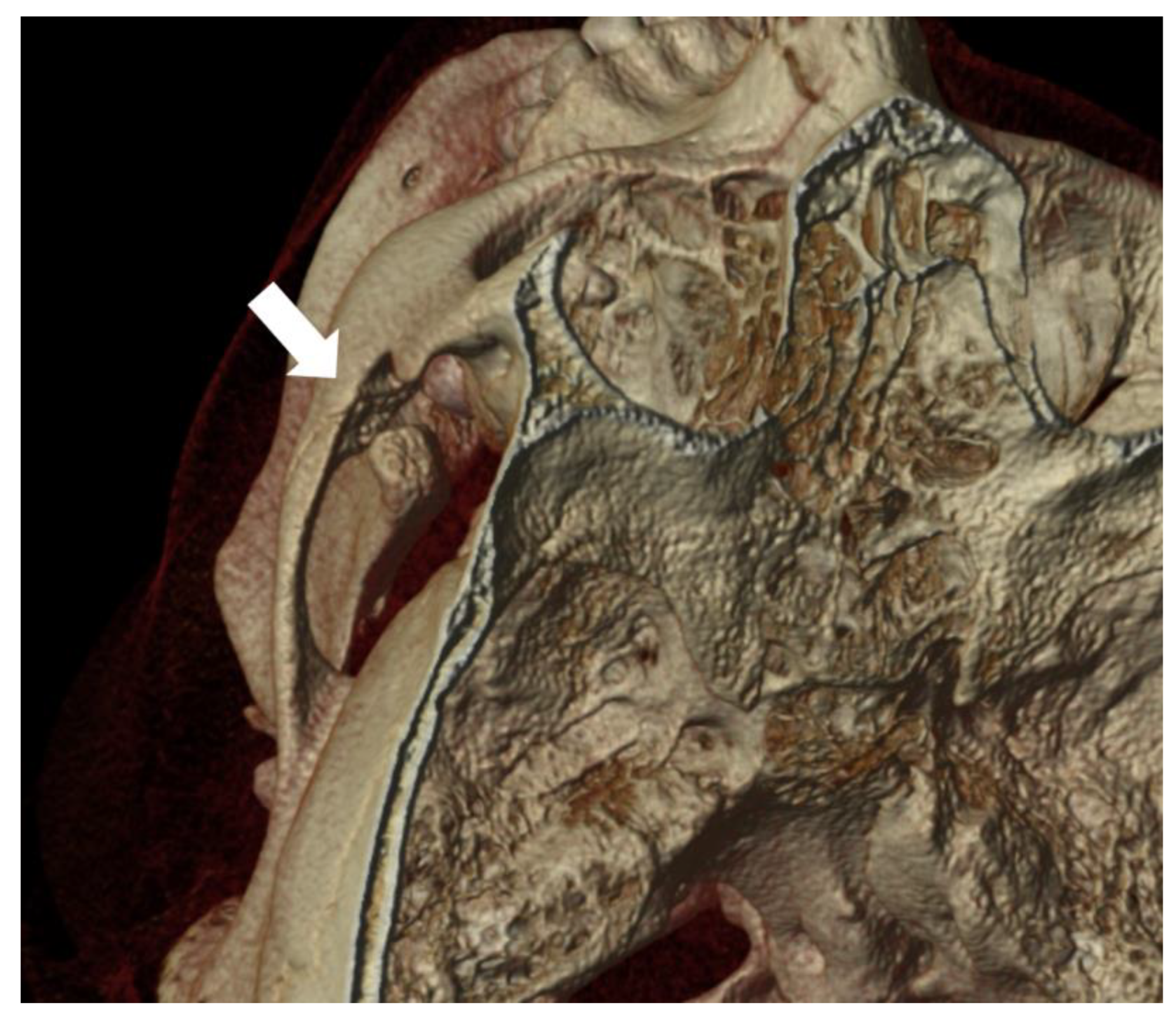 Jcm 12 04966 g001 550