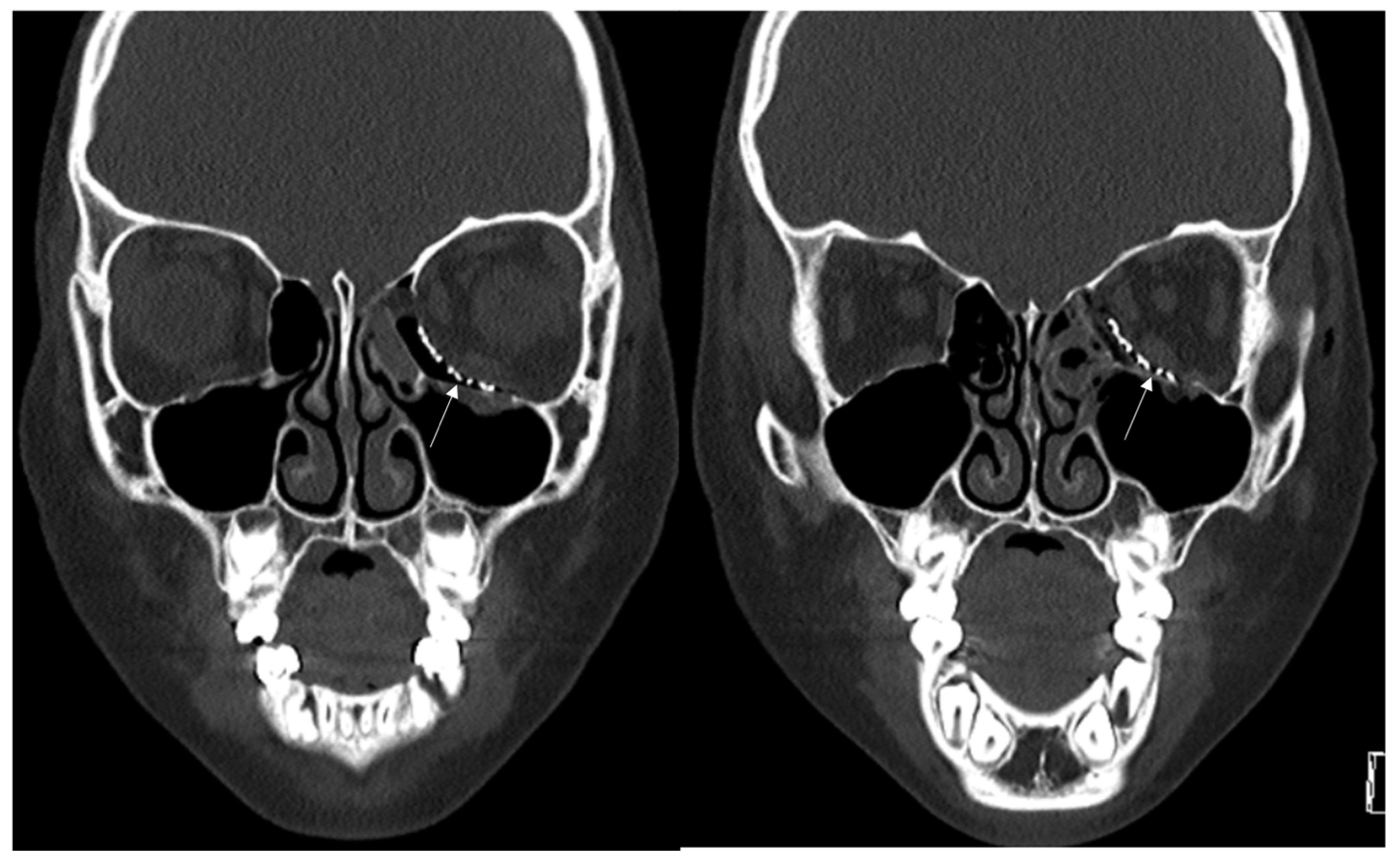 JCM Free FullText The Usefulness of the Navigation System to