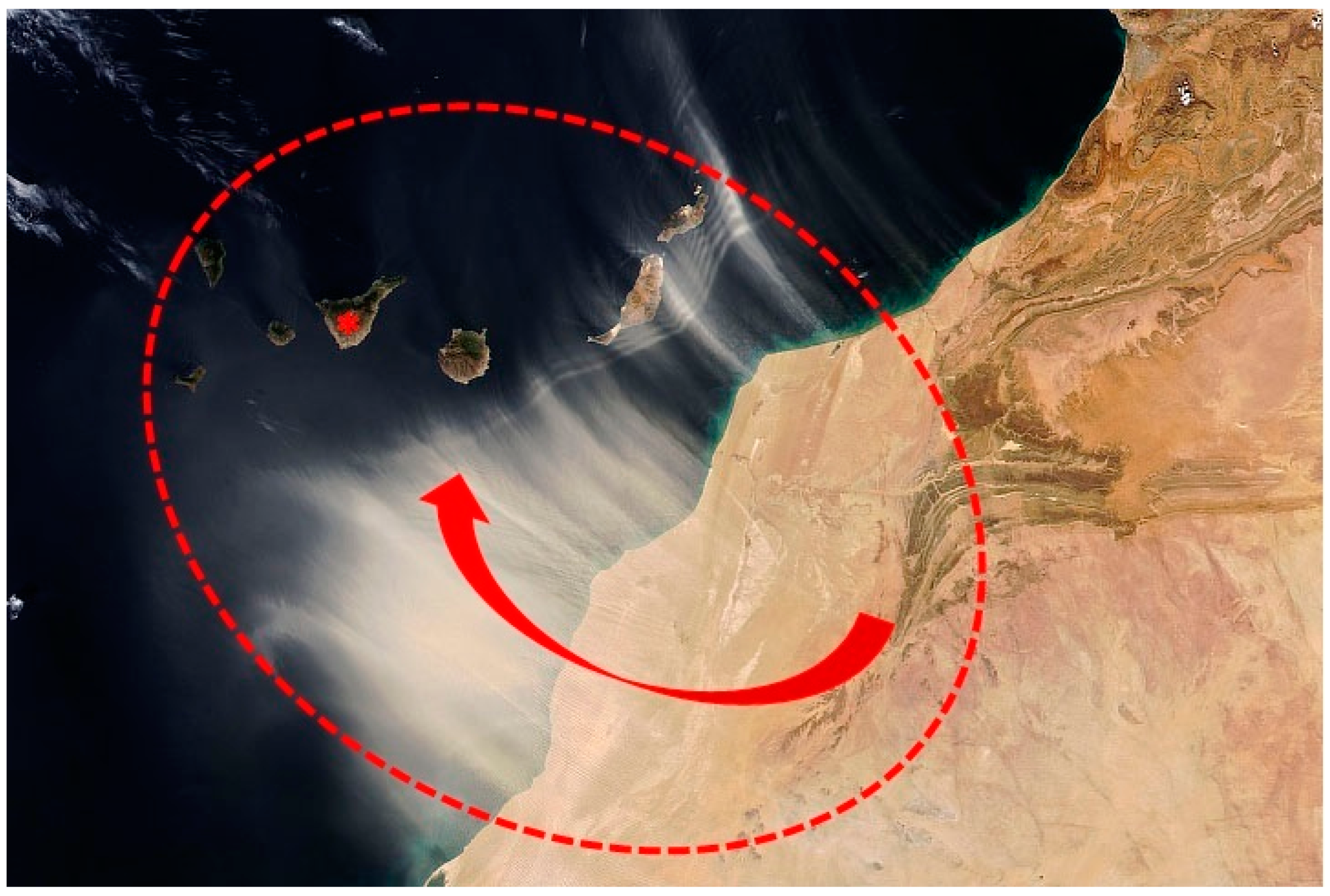 Jcm 12 04990 g001 Jcm 12 04990 g001