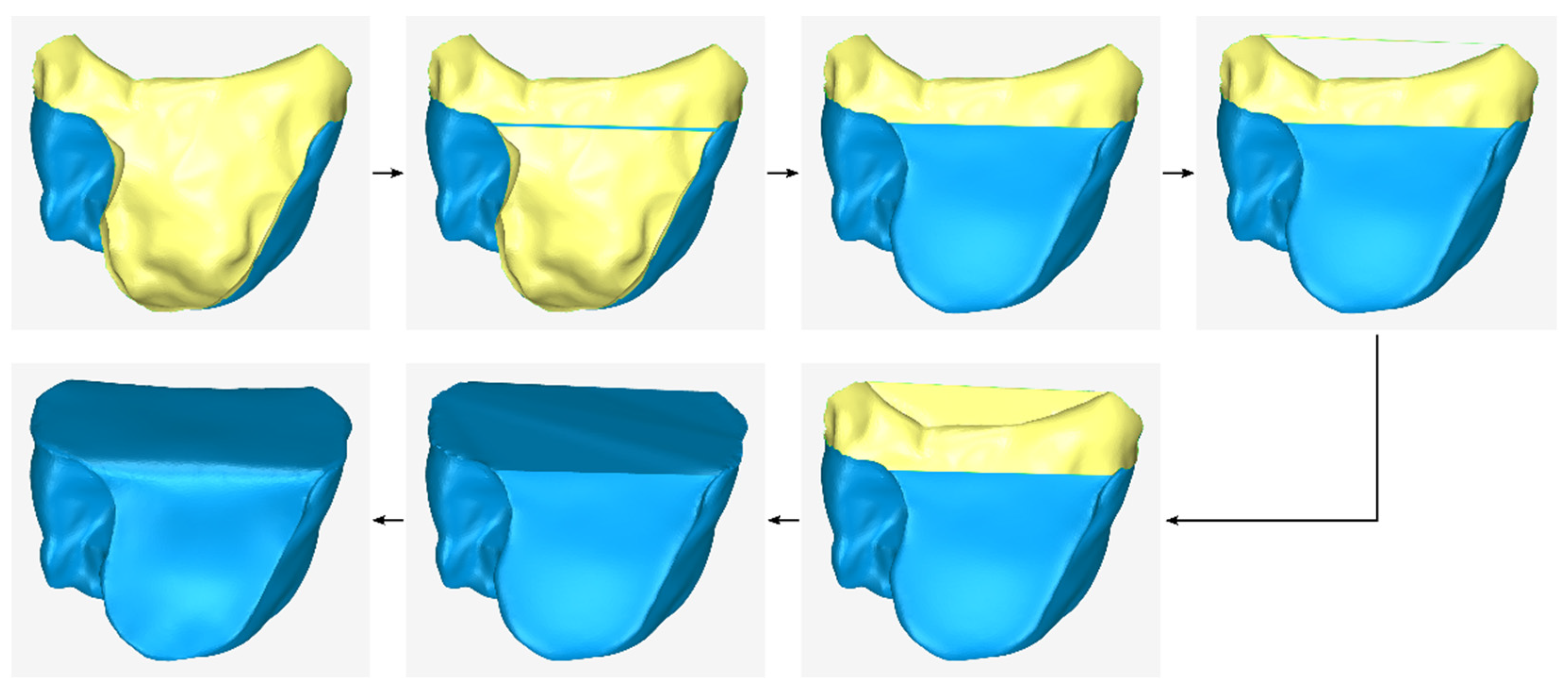 Jcm 12 05023 g012 Jcm 12 05023 g012