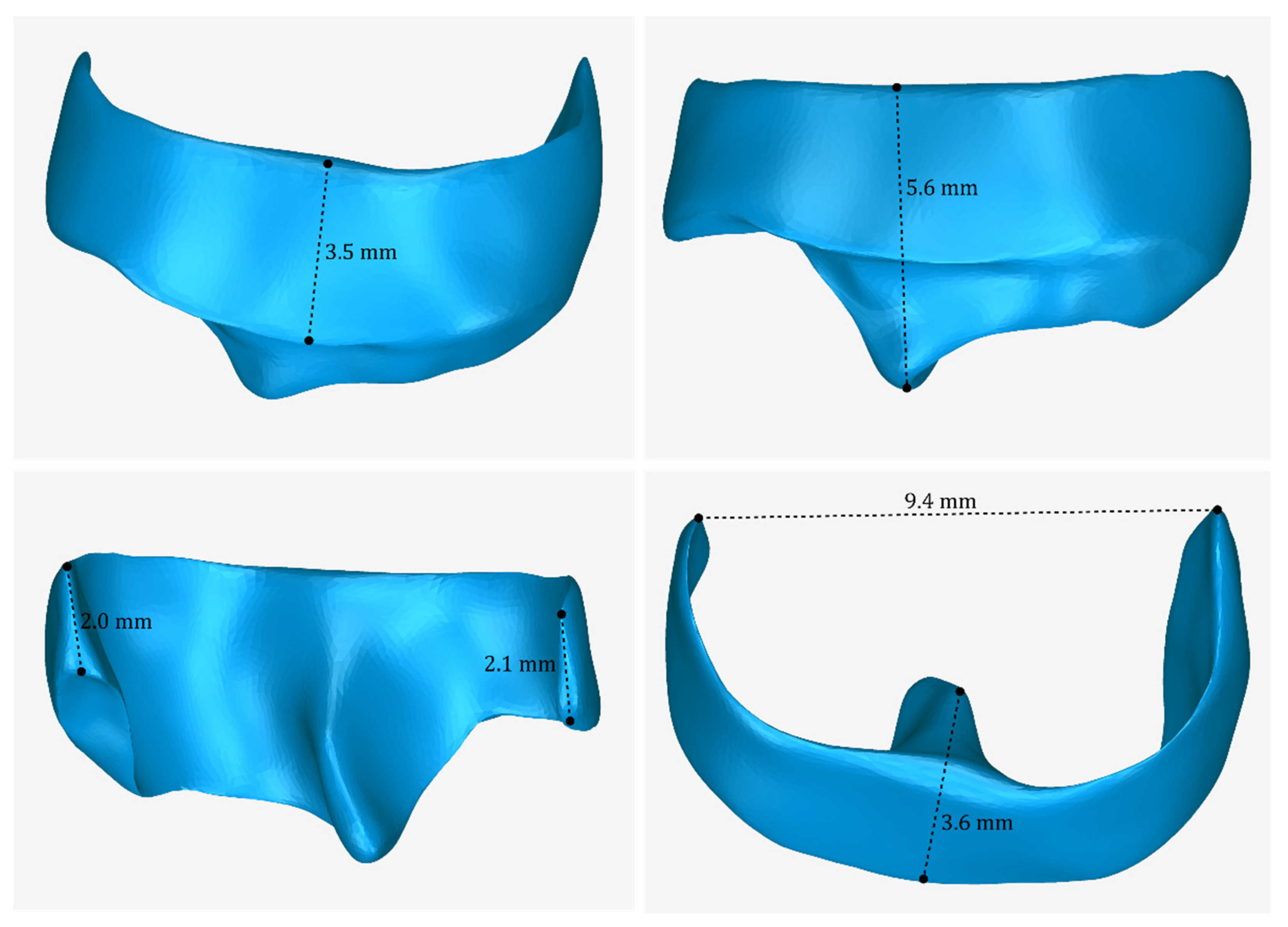 Jcm 12 05023 g020 Jcm 12 05023 g020
