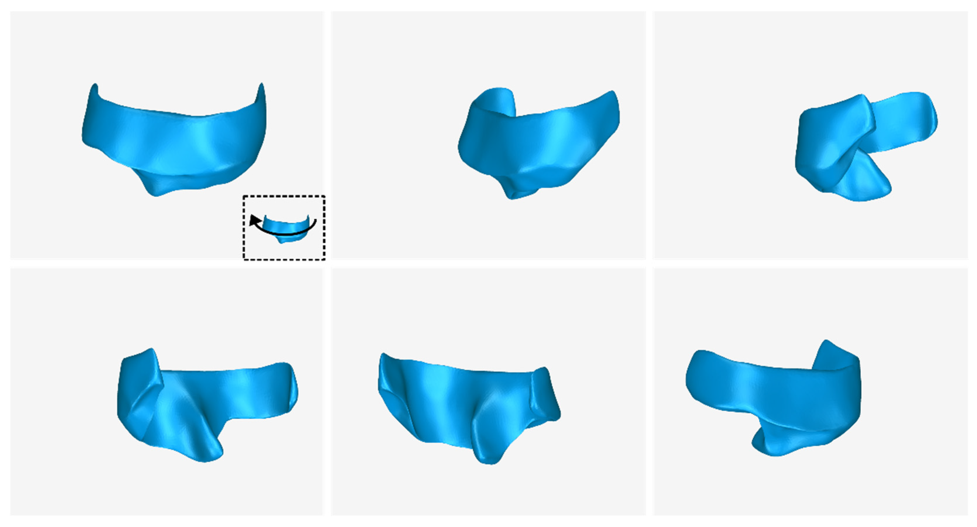 Jcm 12 05023 g021 Jcm 12 05023 g021