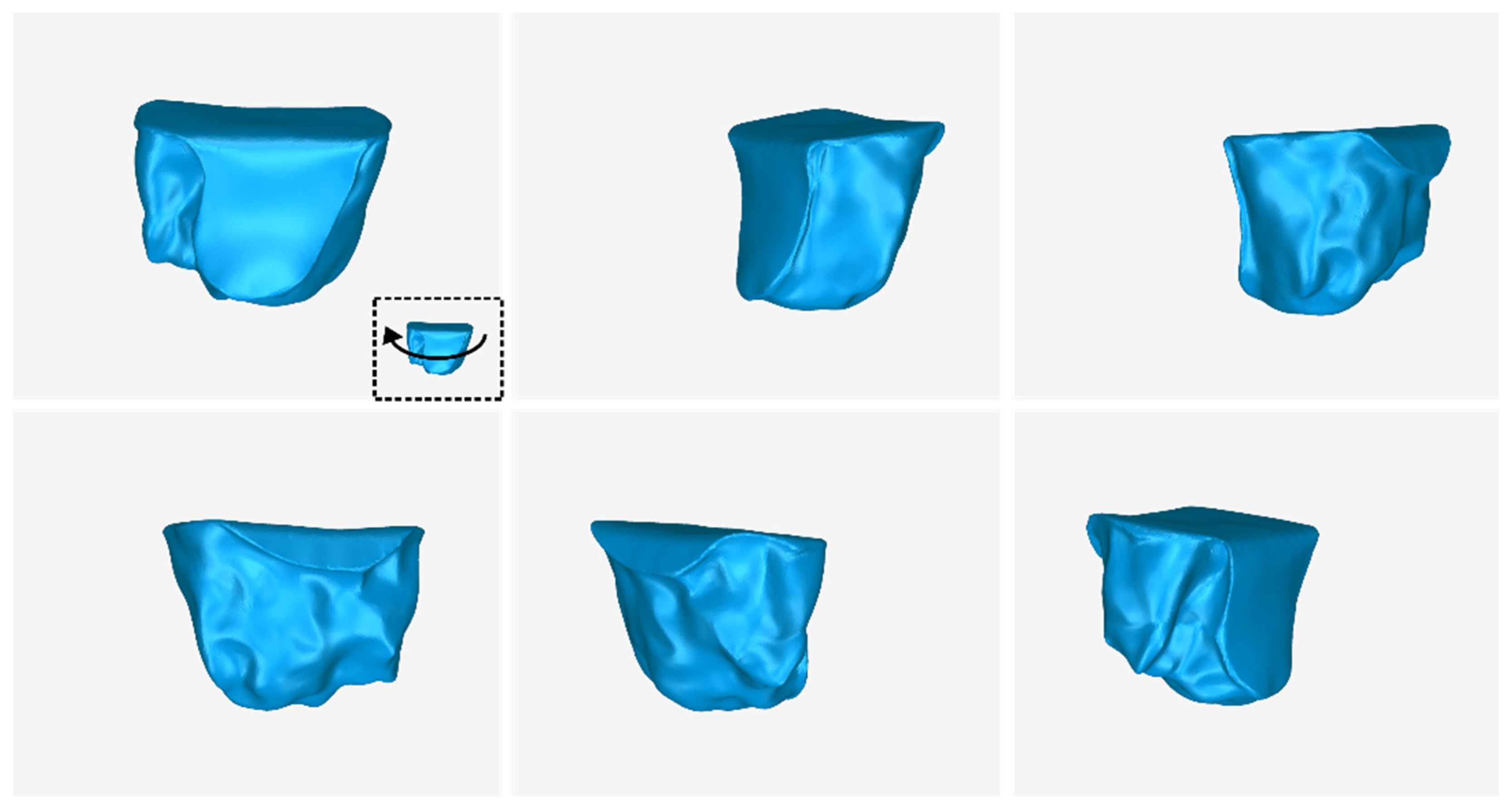 Jcm 12 05023 g026 Jcm 12 05023 g026