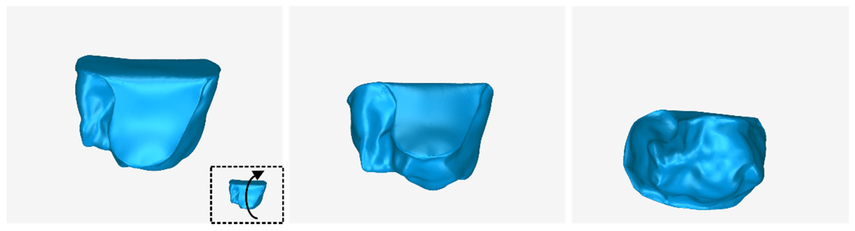 Jcm 12 05023 g028 Jcm 12 05023 g028