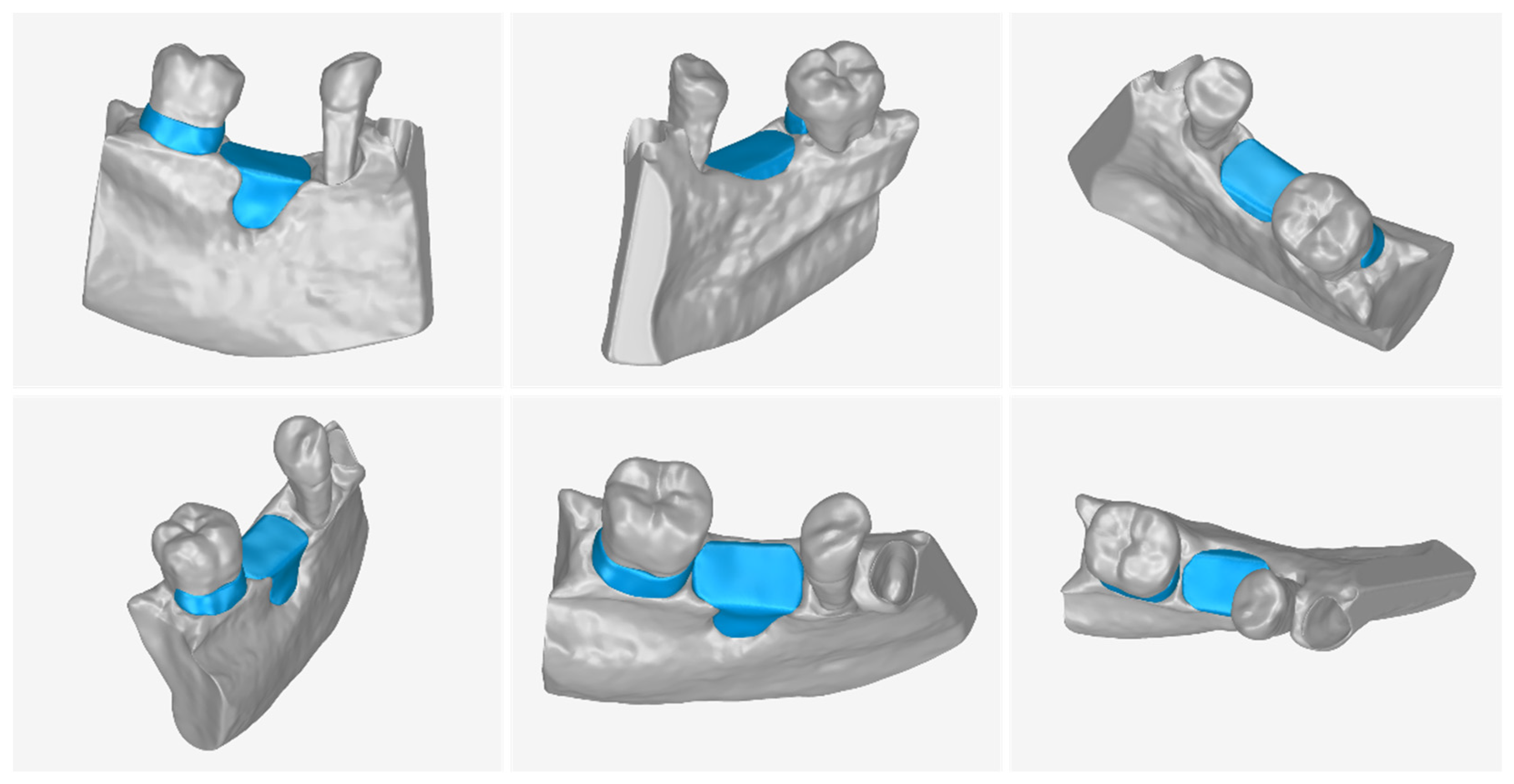 Jcm 12 05023 g031 Jcm 12 05023 g031
