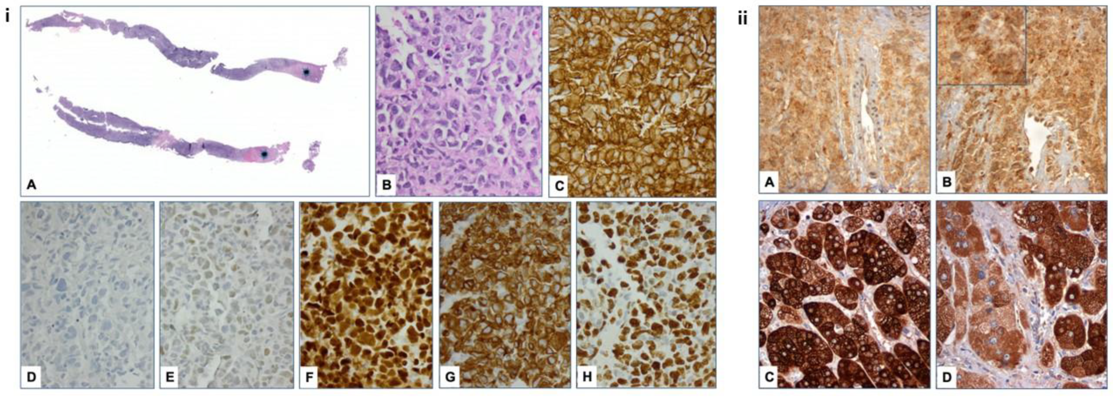 Jcm 12 05032 g002 Jcm 12 05032 g002