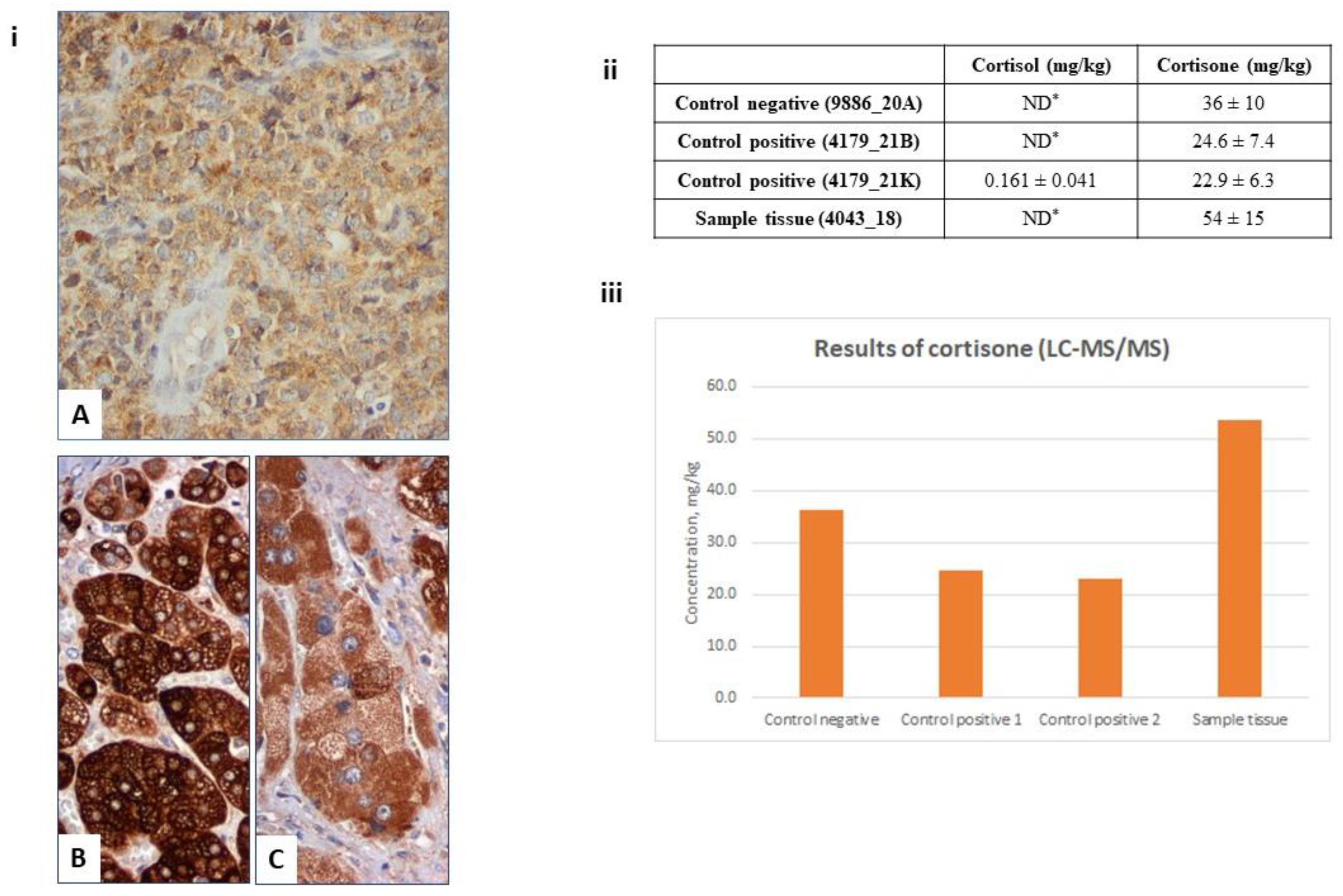 Jcm 12 05032 g003 Jcm 12 05032 g003