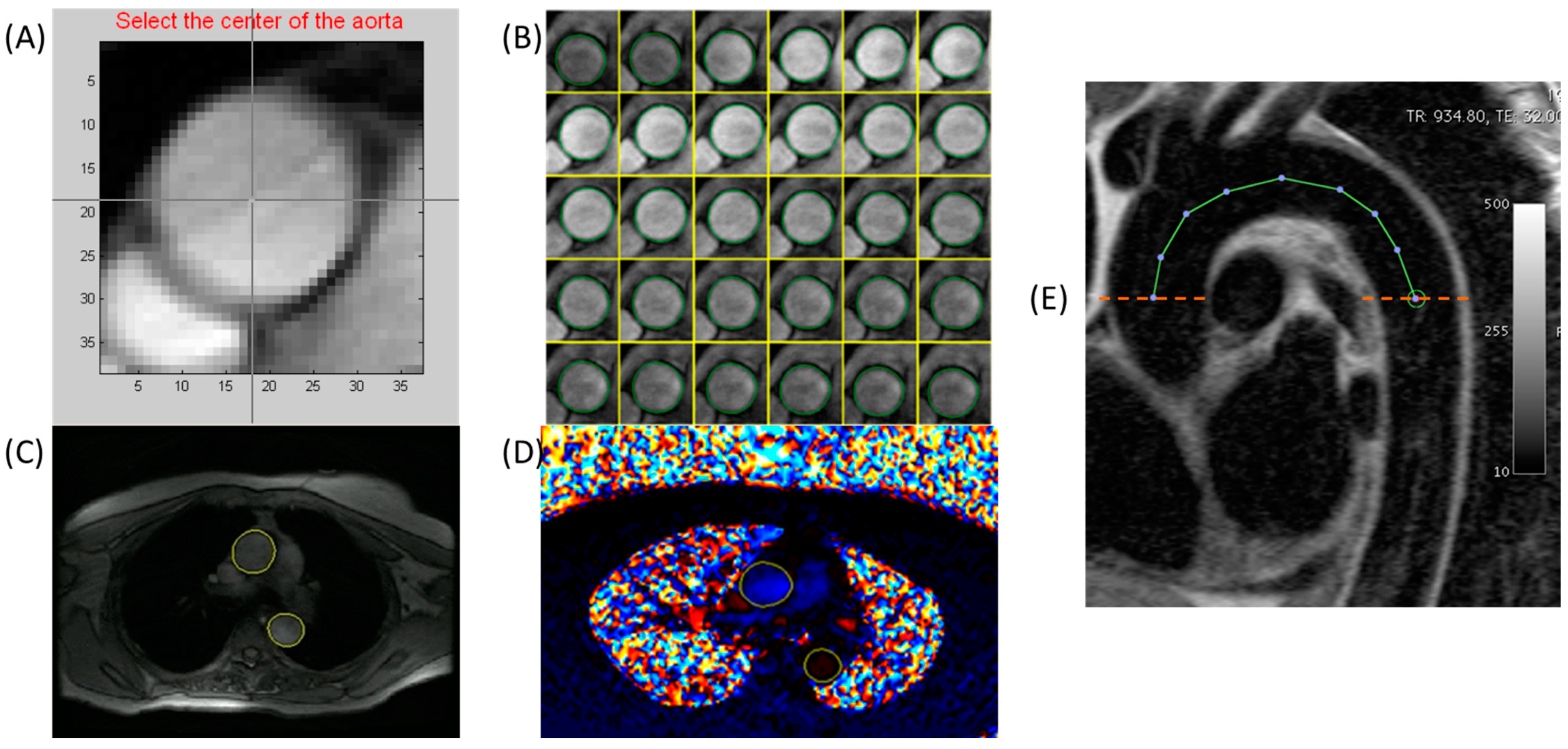 Jcm 12 05062 g002 Jcm 12 05062 g002