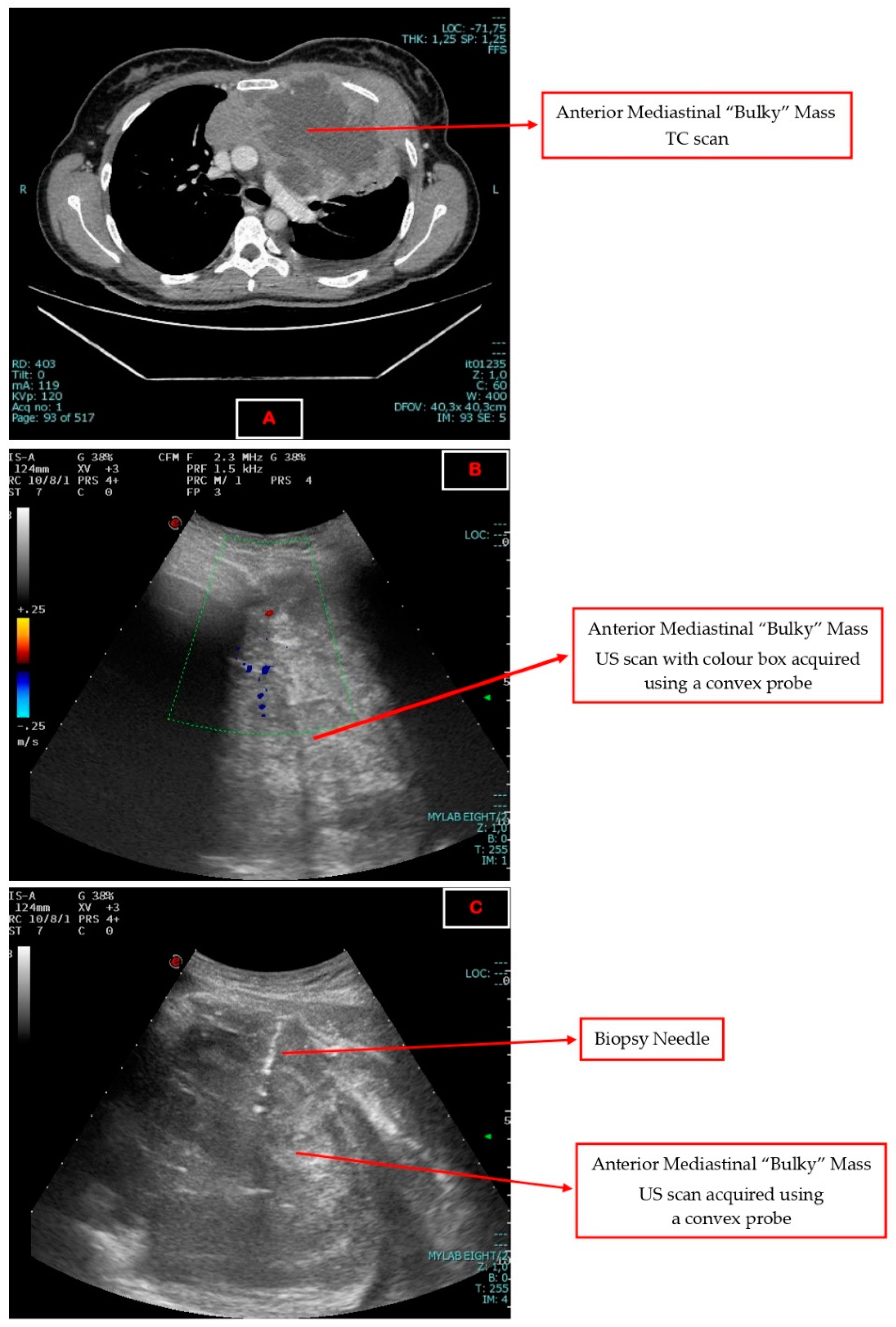 Jcm 12 05070 g001 Jcm 12 05070 g001