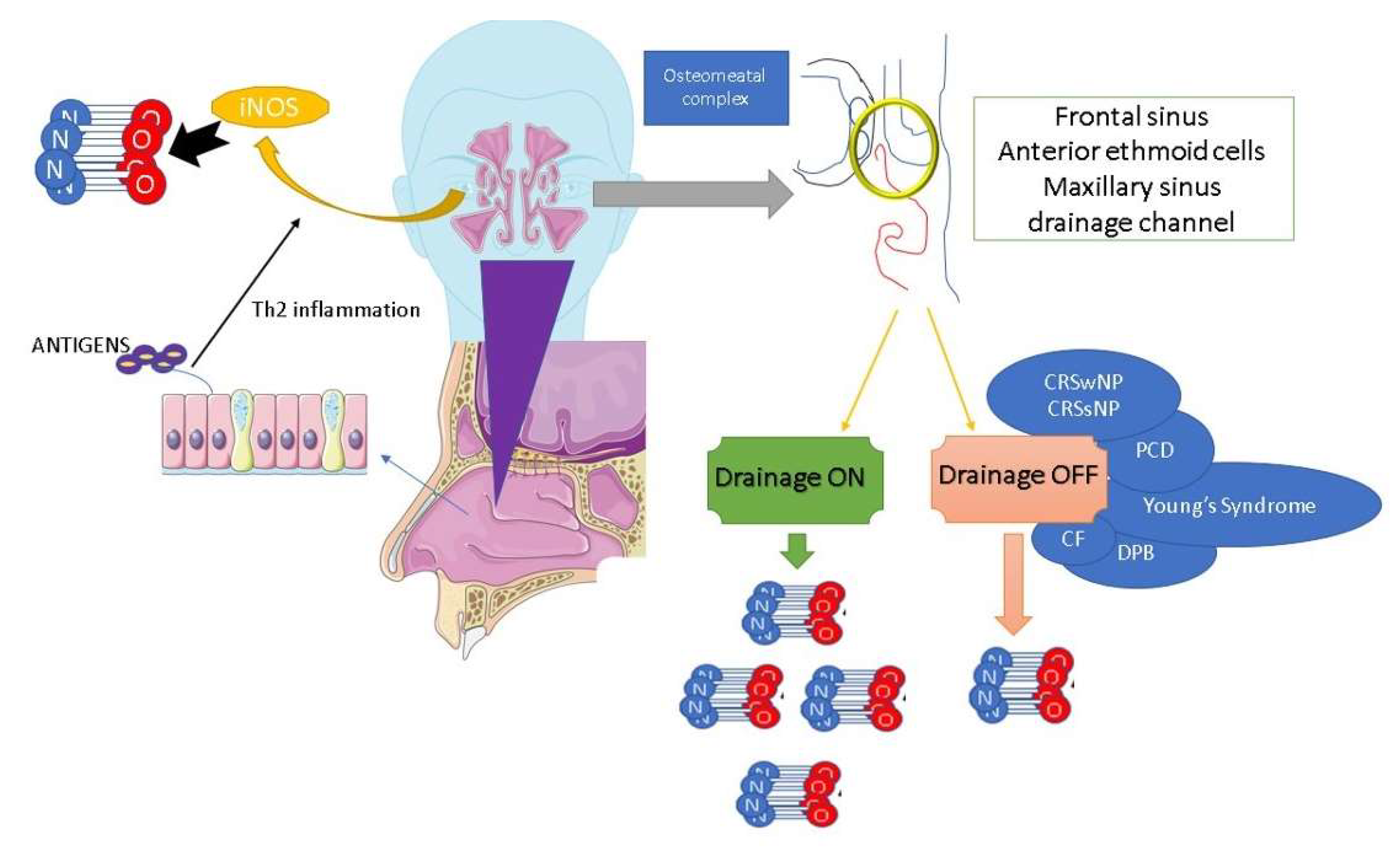Jcm 12 05081 g002 Jcm 12 05081 g002