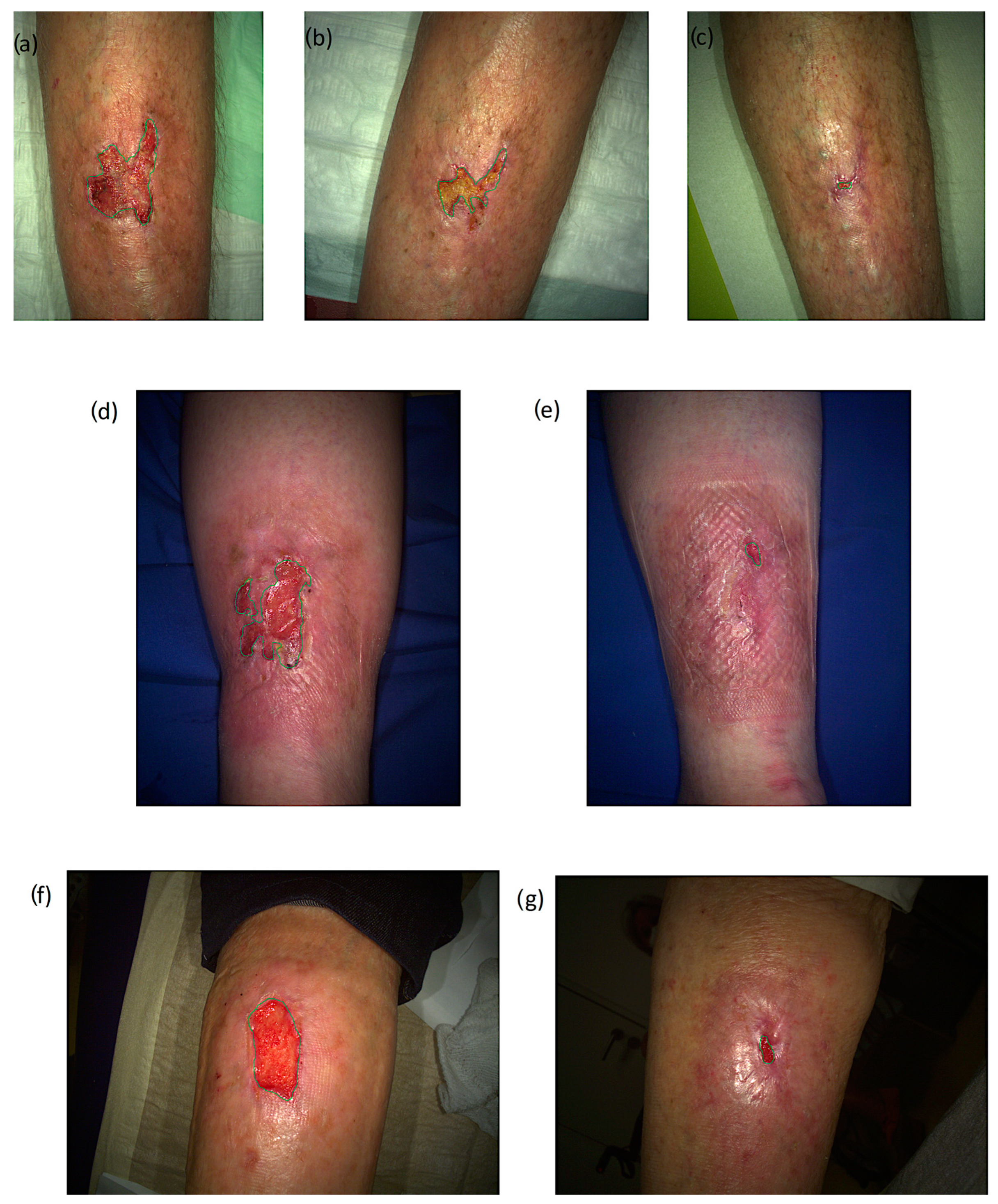 Jcm 12 05121 g002 Jcm 12 05121 g002