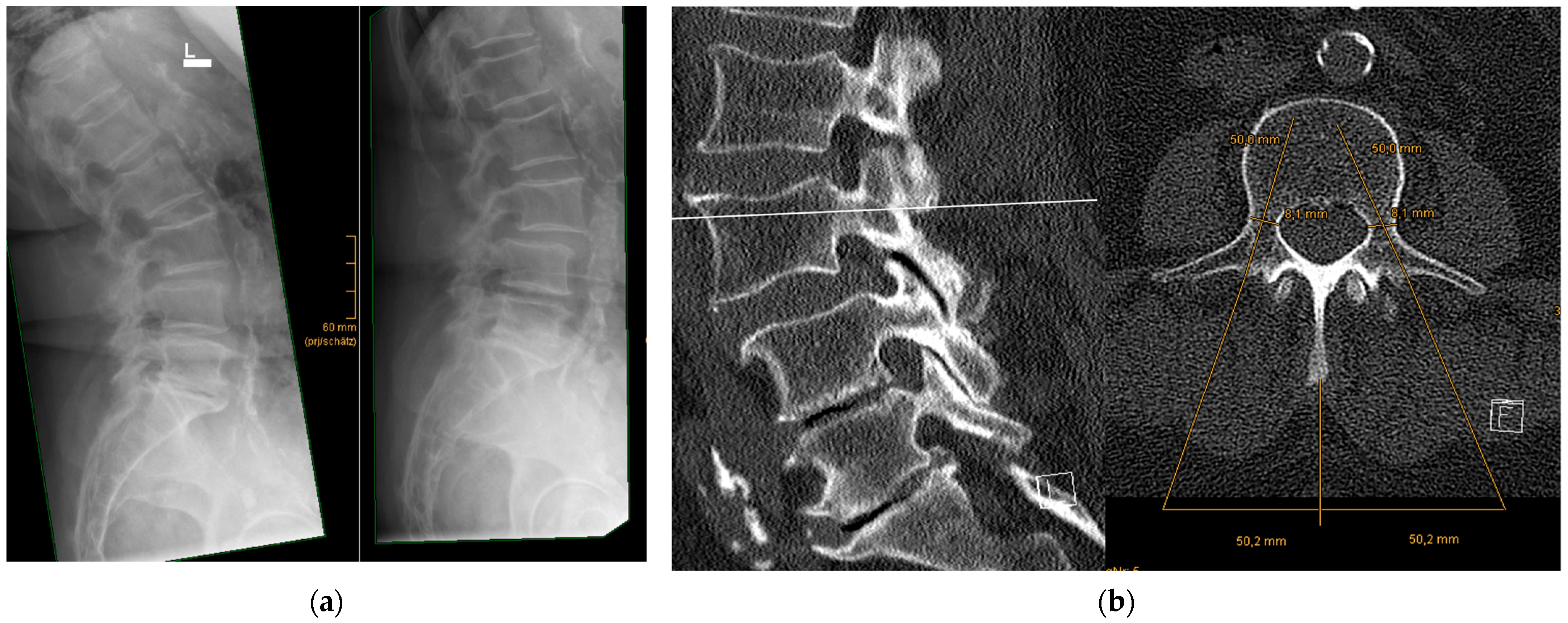 Jcm 12 05125 g001 Jcm 12 05125 g001