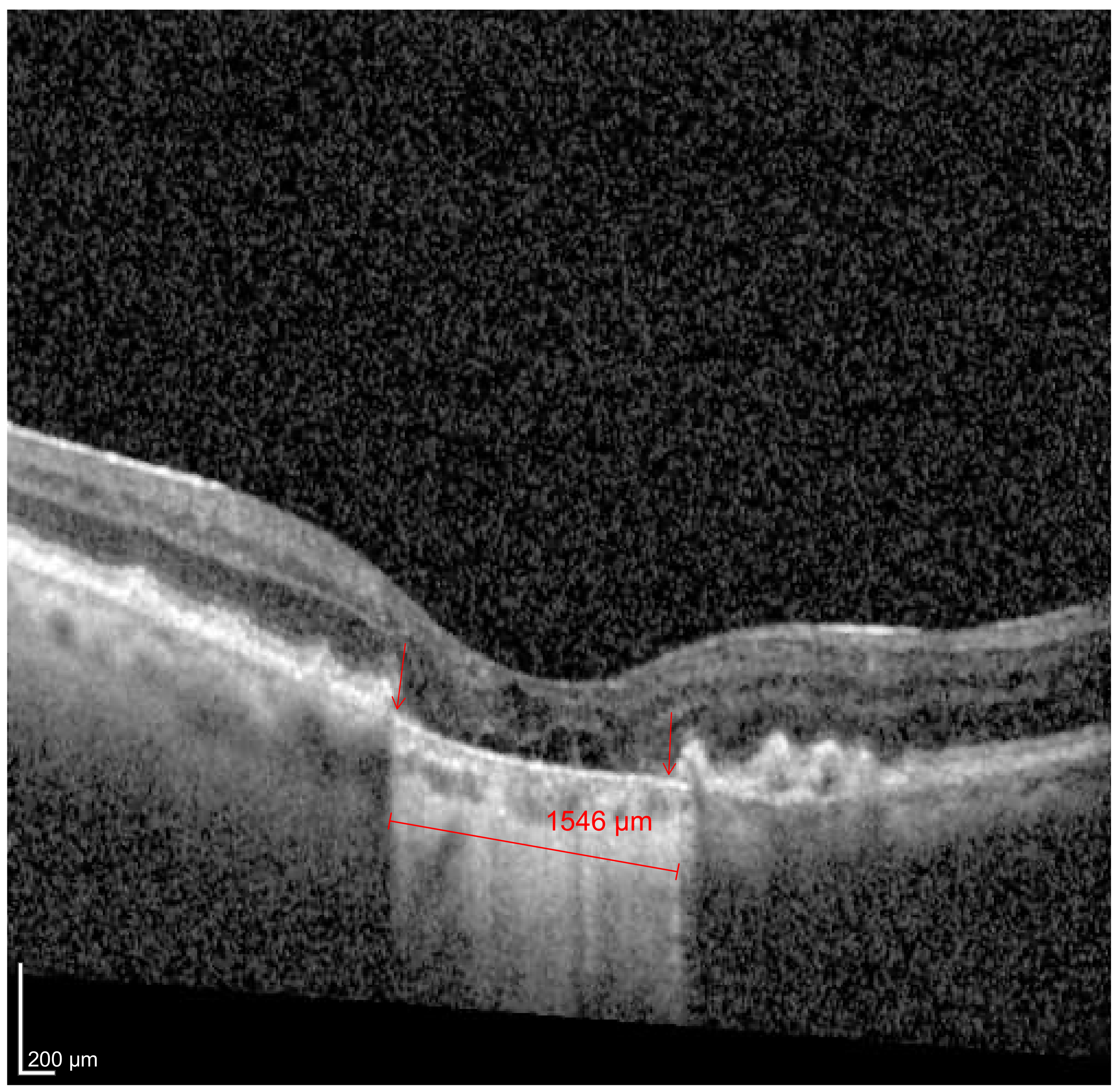 Jcm 12 05131 g001 Jcm 12 05131 g001