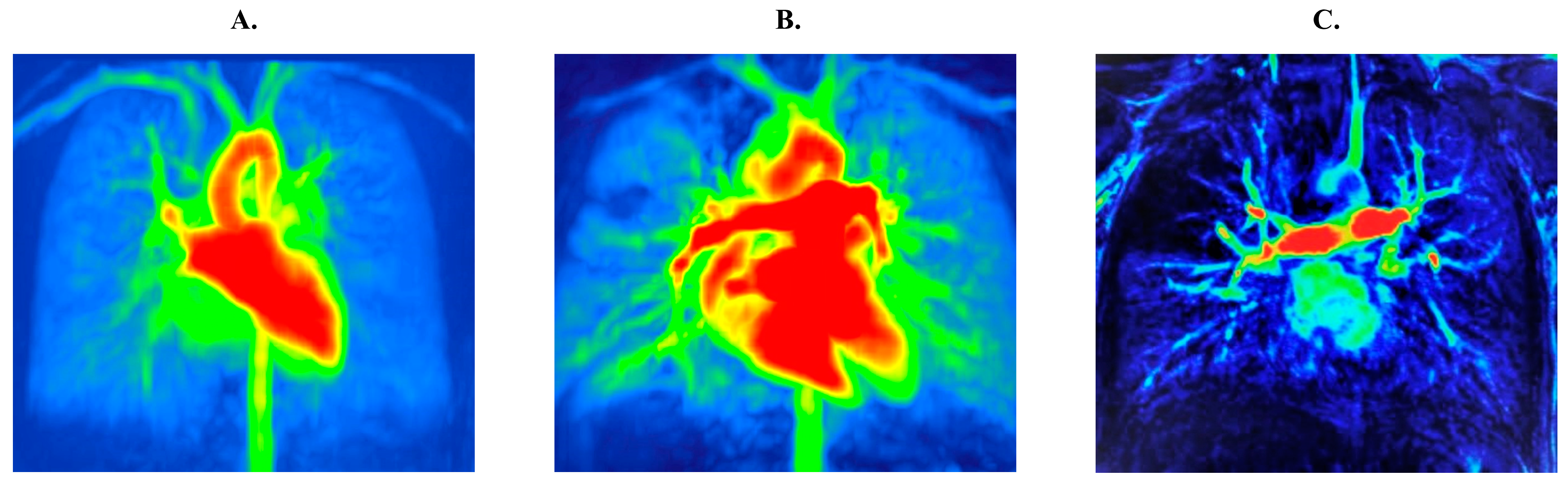 Jcm 12 05136 g001 Jcm 12 05136 g001