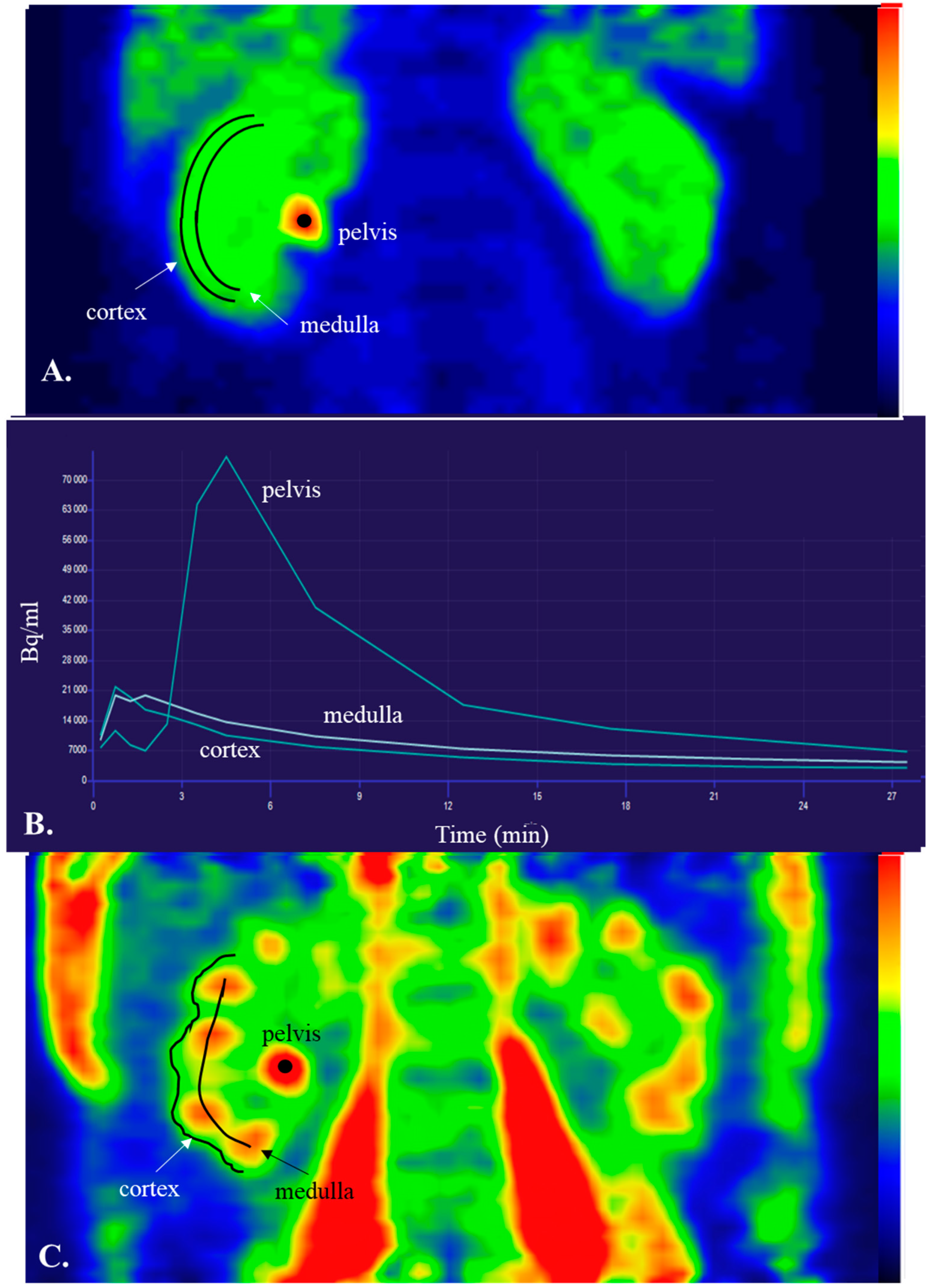 Jcm 12 05141 g002 Jcm 12 05141 g002