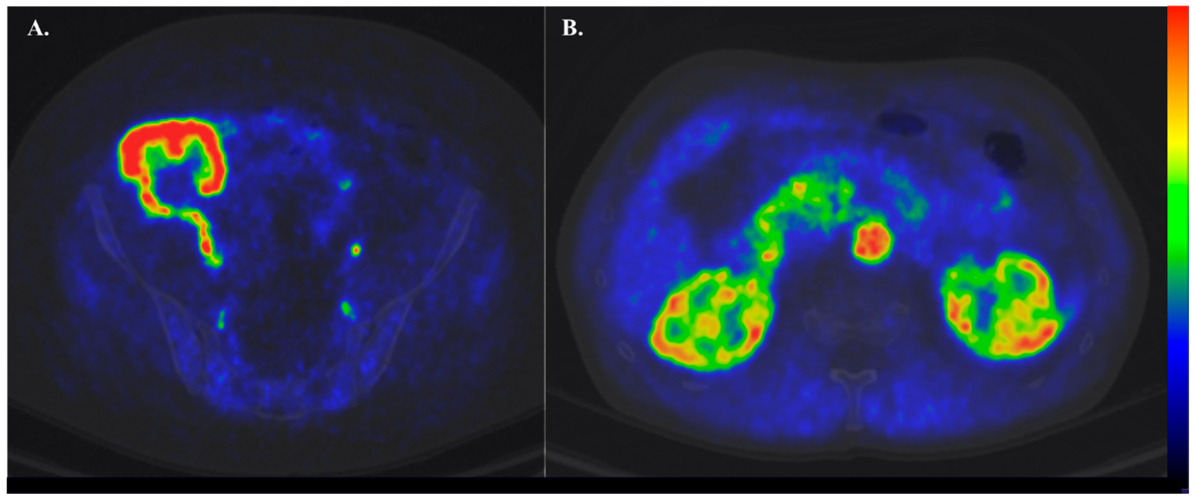 Jcm 12 05141 g003 Jcm 12 05141 g003