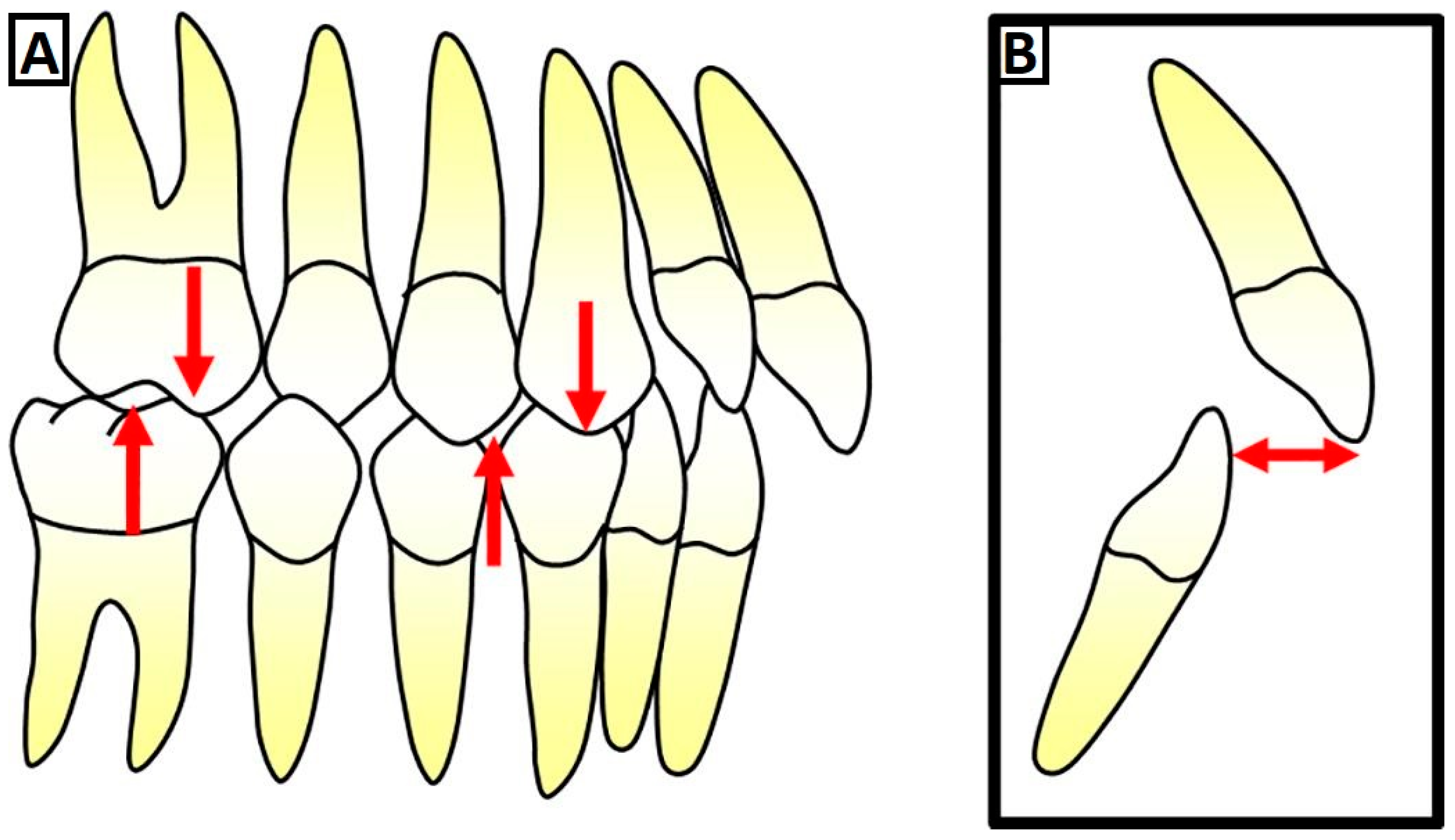 Jcm 12 05148 g001 Jcm 12 05148 g001
