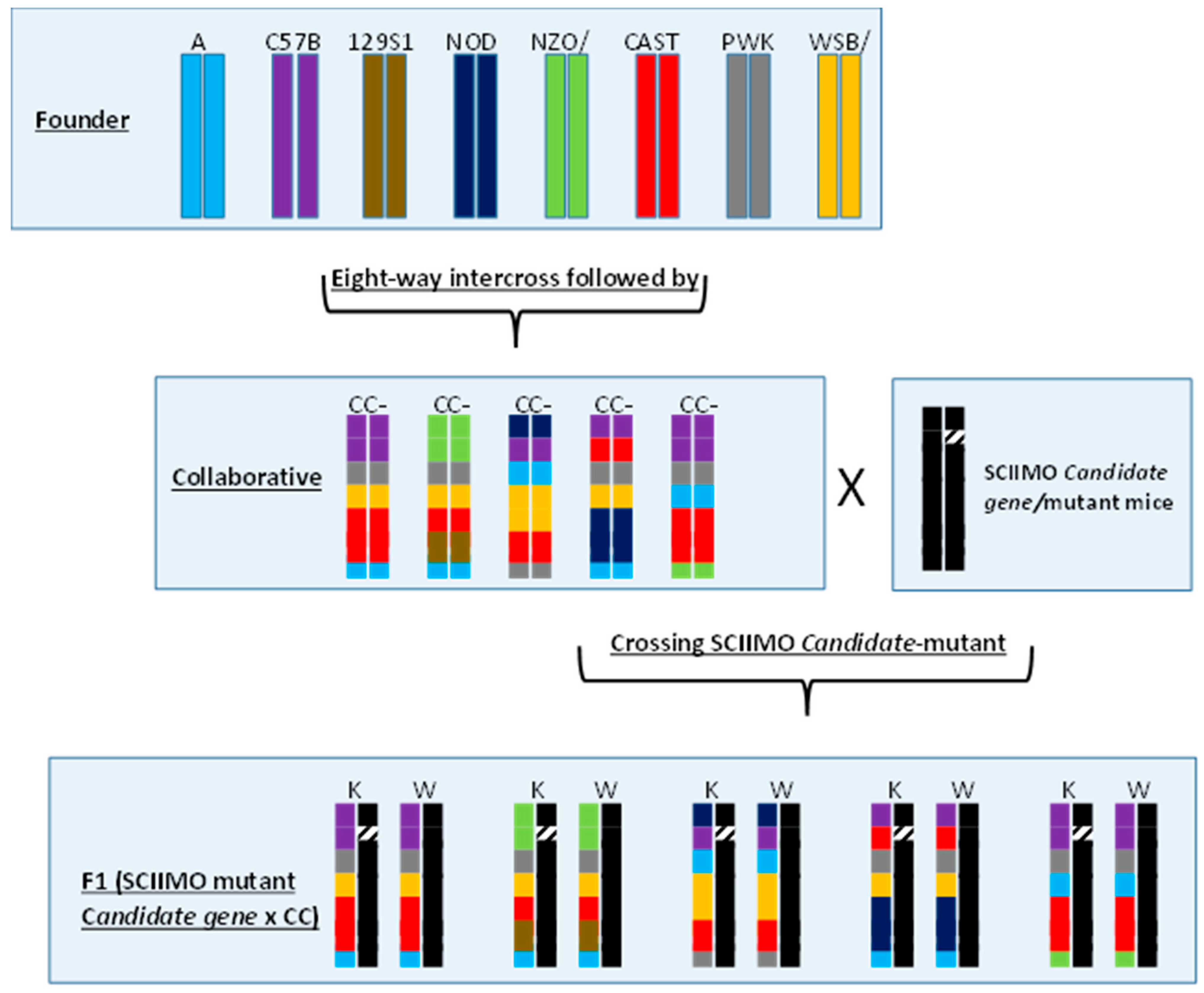 Jcm 12 05148 g010 Jcm 12 05148 g010