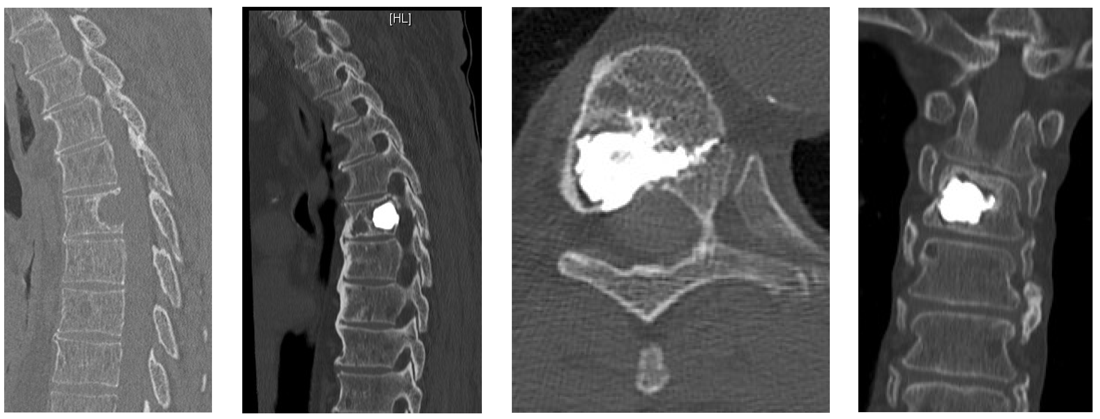 Jcm 12 05165 g001 Jcm 12 05165 g001