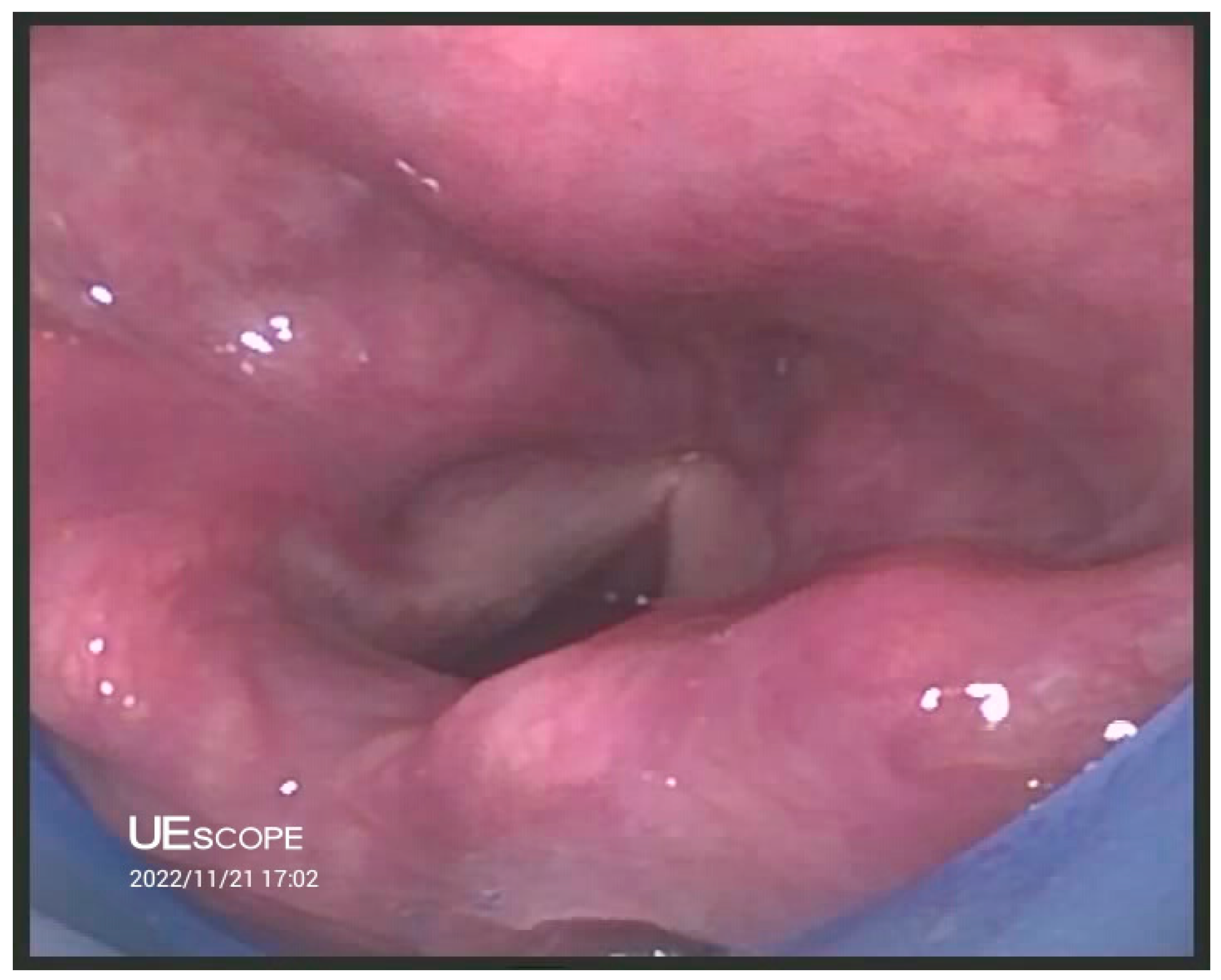 Jcm 12 05197 g003 Jcm 12 05197 g003