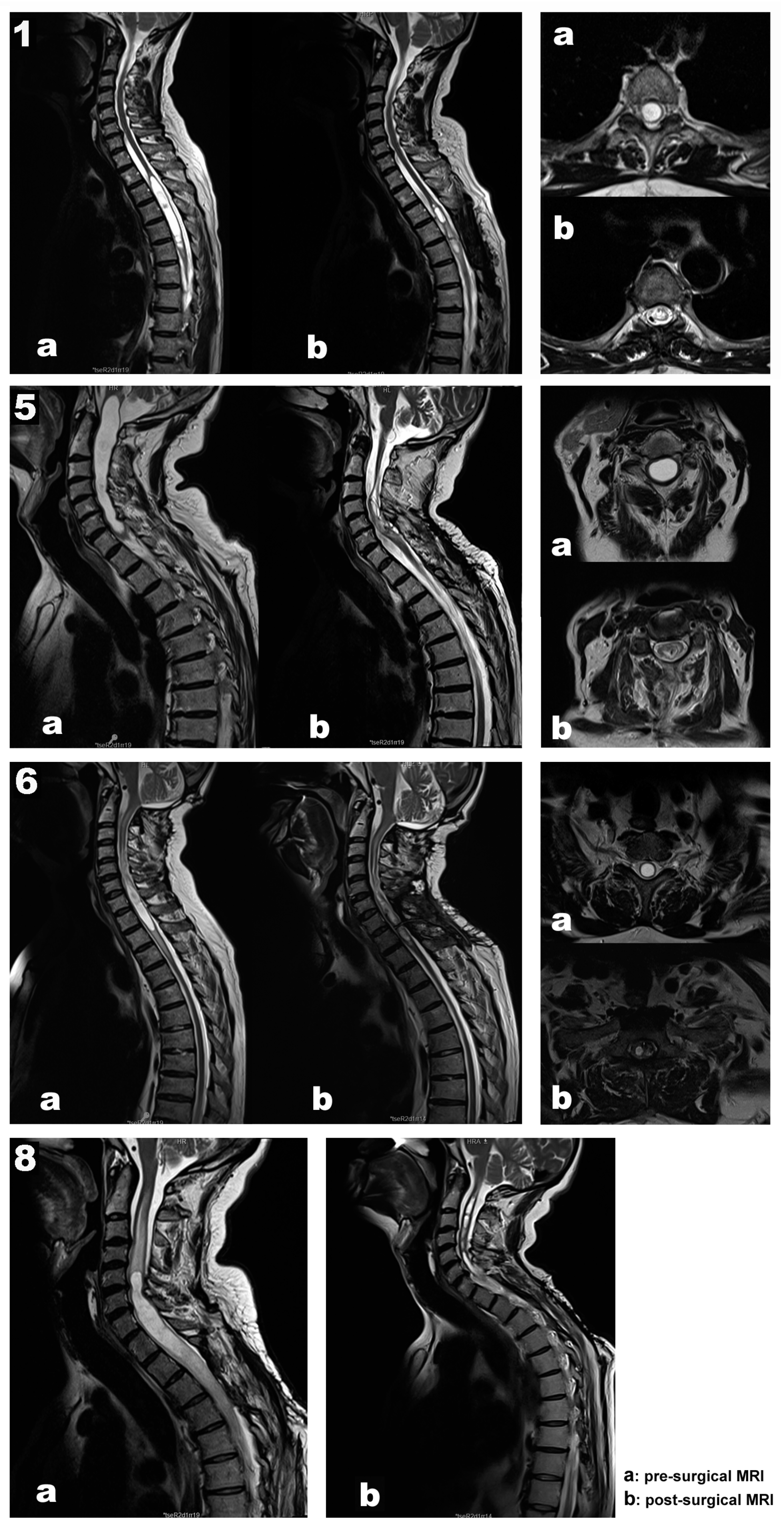 Jcm 12 05200 g001 Jcm 12 05200 g001