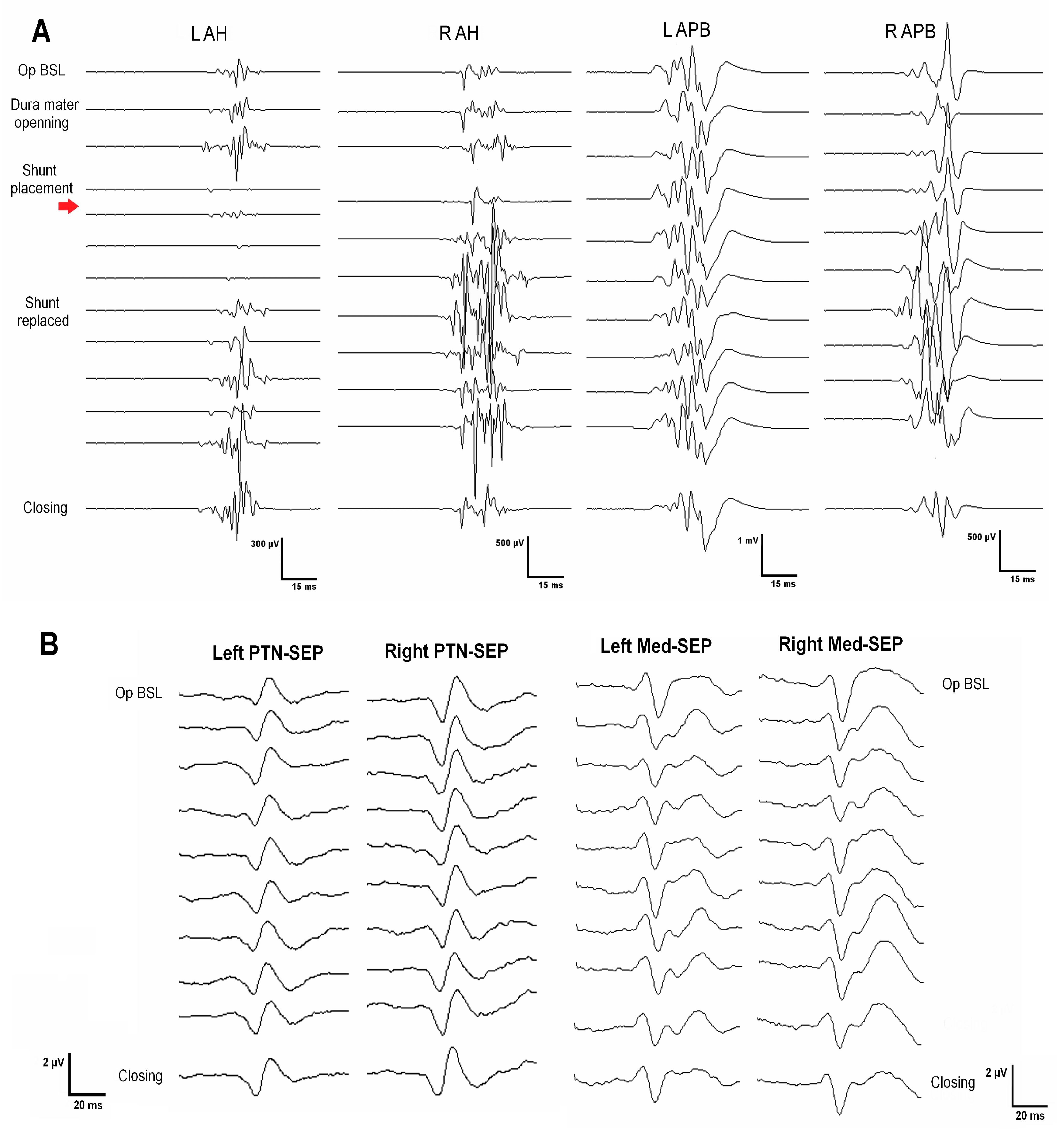 Jcm 12 05200 g002 Jcm 12 05200 g002