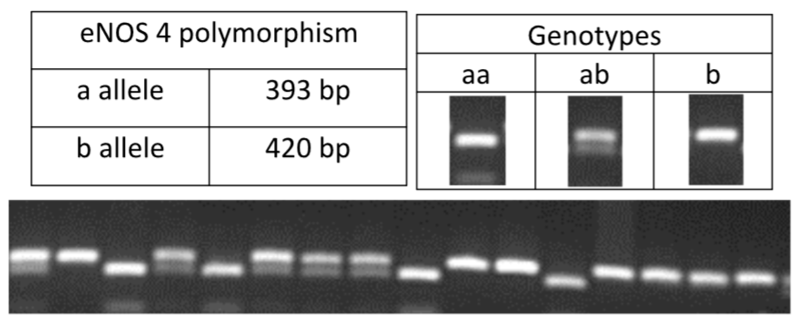 Jcm 12 05209 g002 Jcm 12 05209 g002