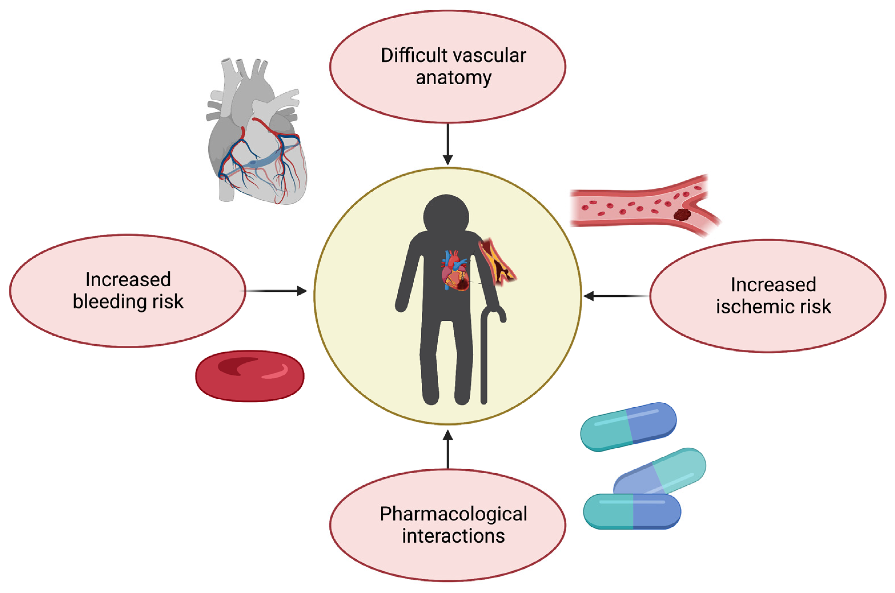 Jcm 12 05233 g003 Jcm 12 05233 g003
