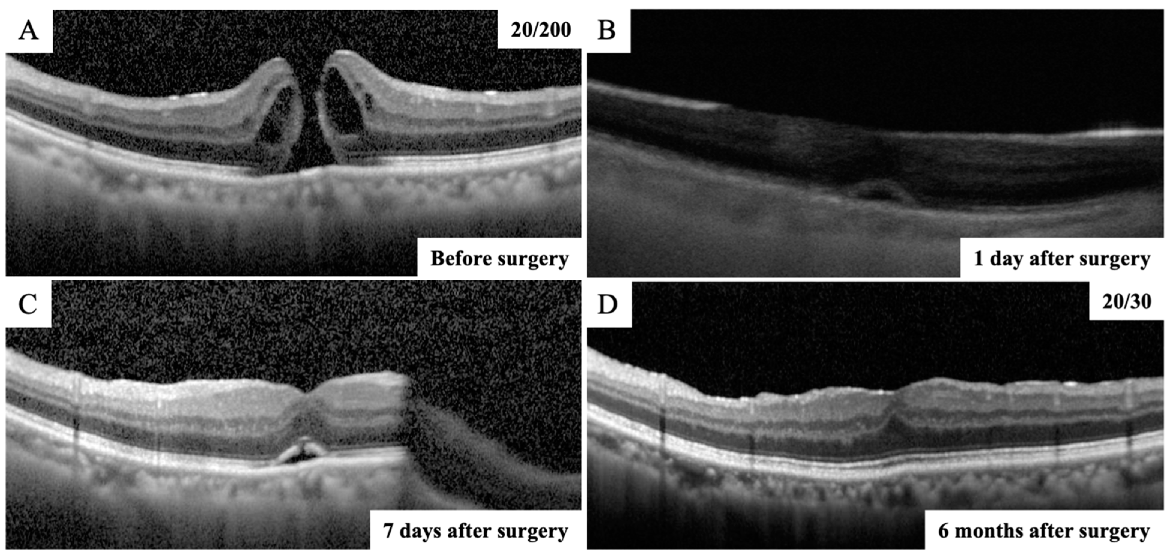 Jcm 12 05282 g002 Jcm 12 05282 g002