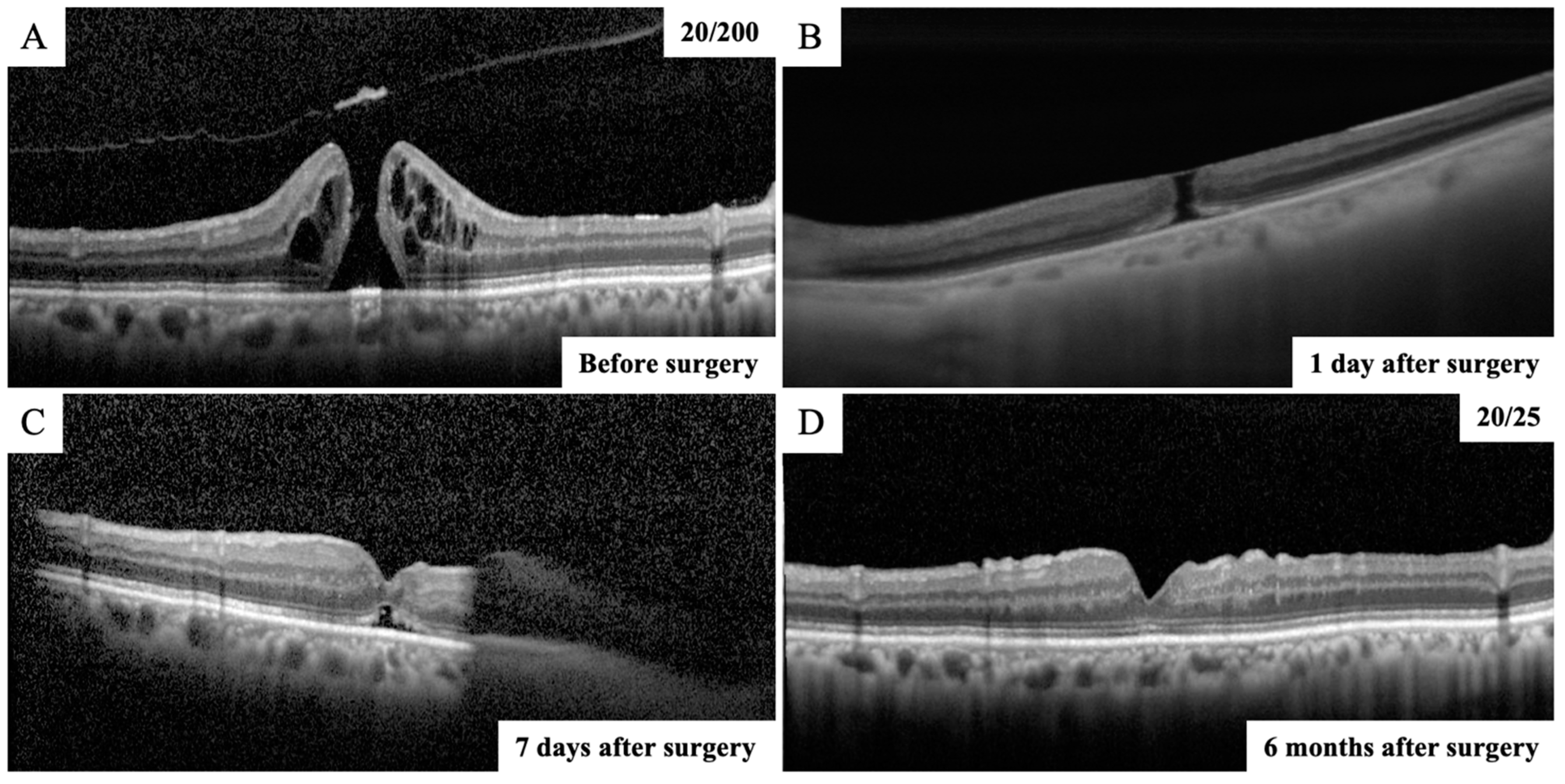 Jcm 12 05282 g003 Jcm 12 05282 g003