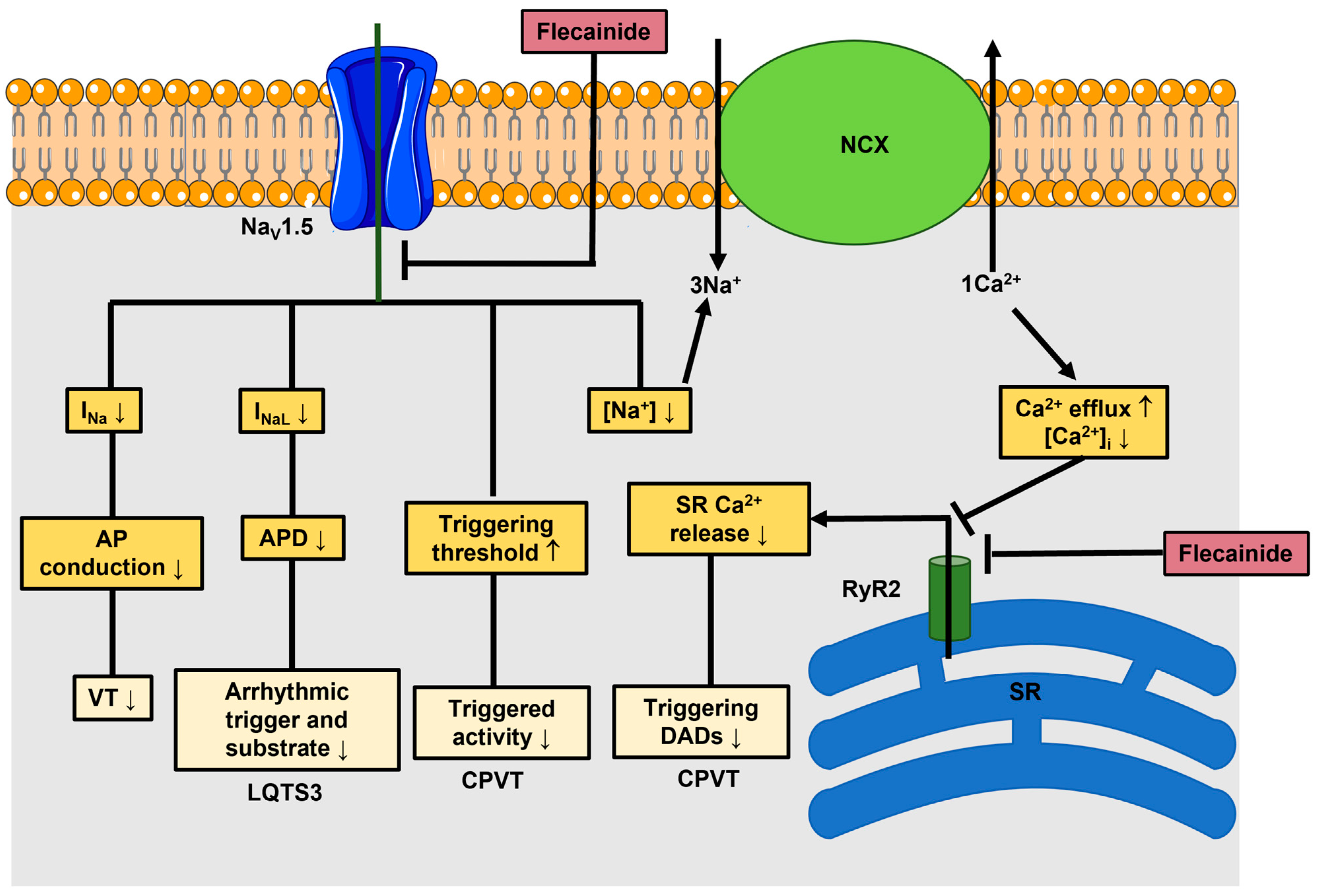 Jcm 12 05295 g001 Jcm 12 05295 g001