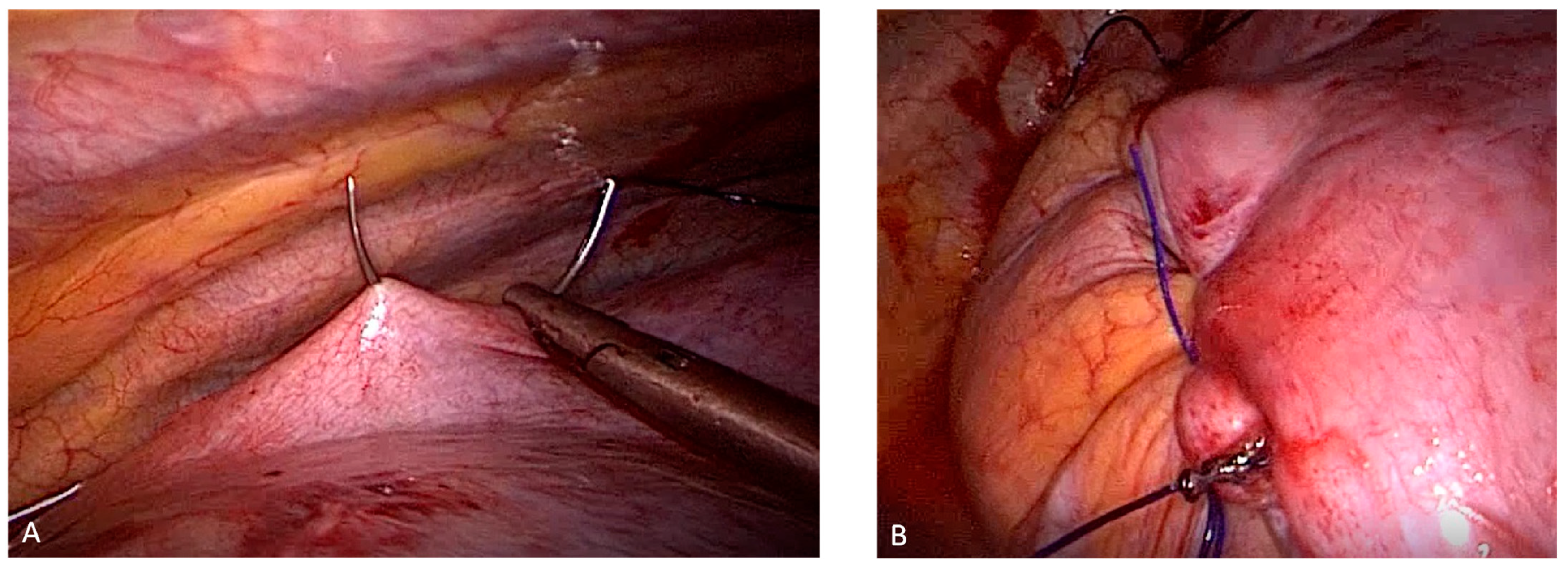Jcm 12 05301 g001 Jcm 12 05301 g001